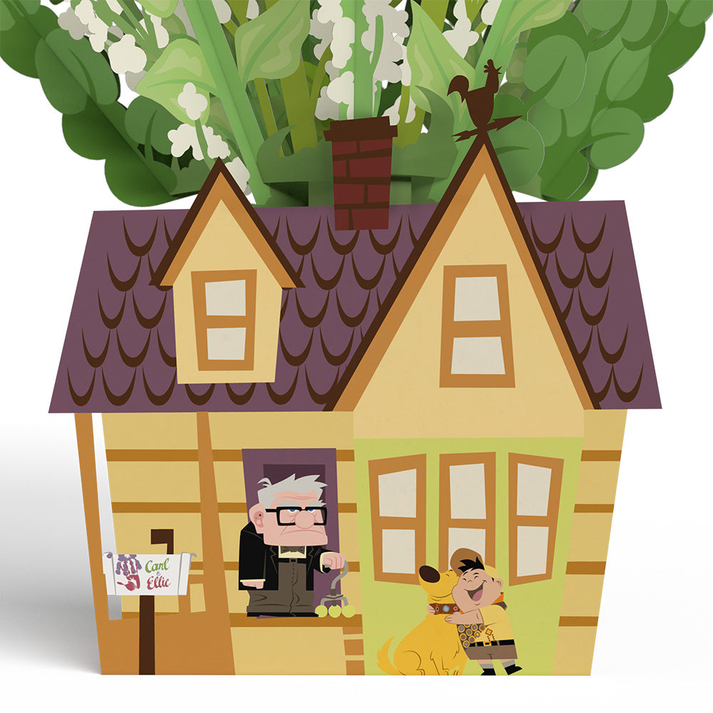 Disney and Pixar Up Sky Is the Limit Pop-Up Card & Flower Buds Bouquet Bundle、mySite、solidvoid