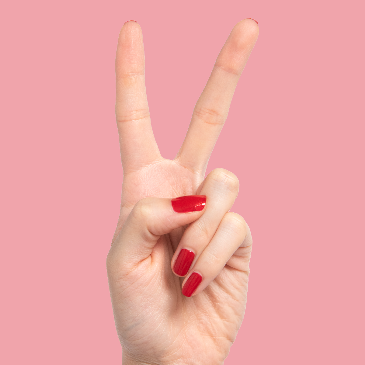 Lippy、mySite、solidvoid