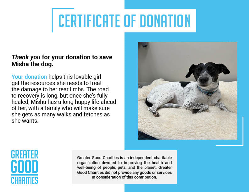 Funded - Help Save Misha's Legs、mySite、camillekostekn