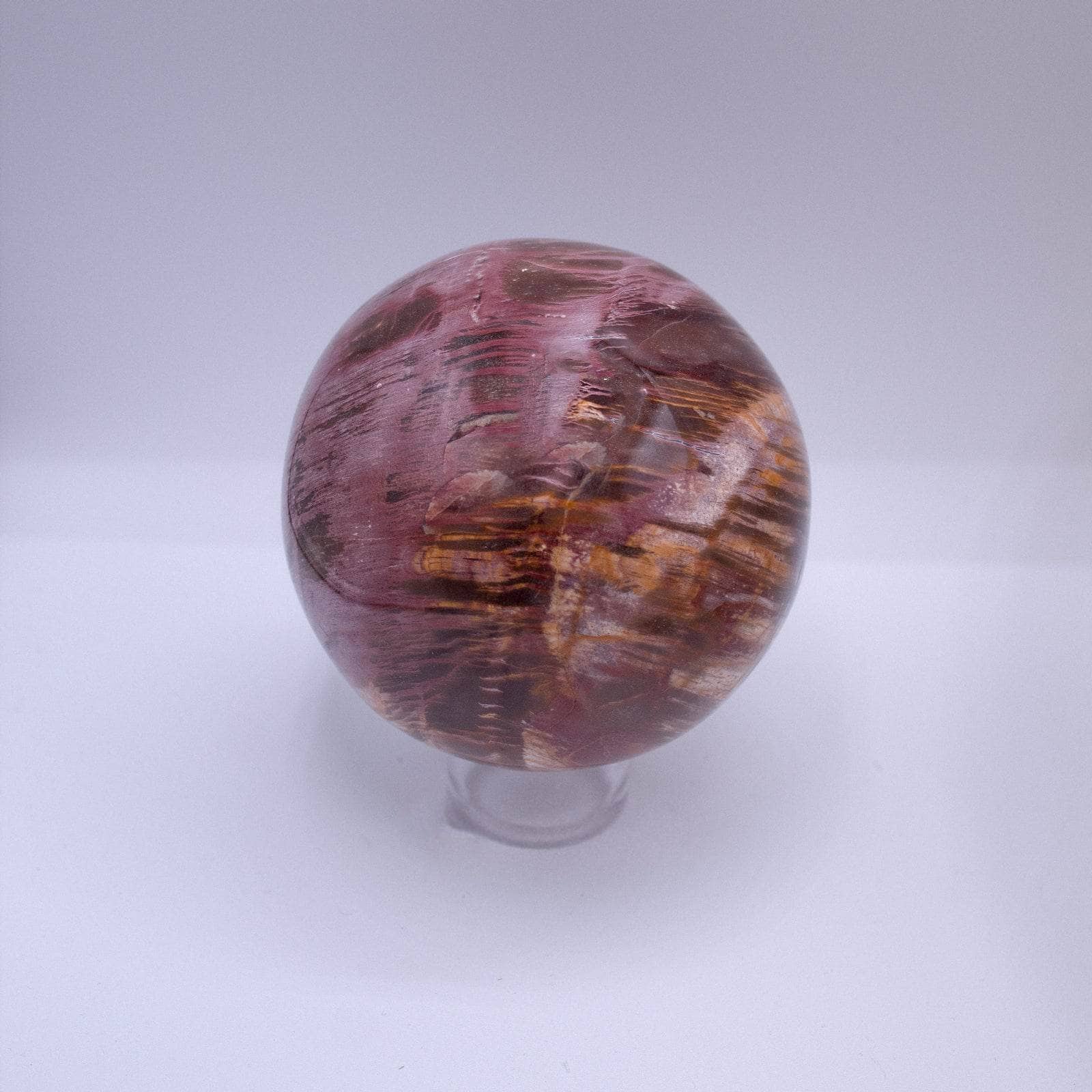 Petrified Wood Sphere - AAA Premium Quality、mySite、hinf8tx79