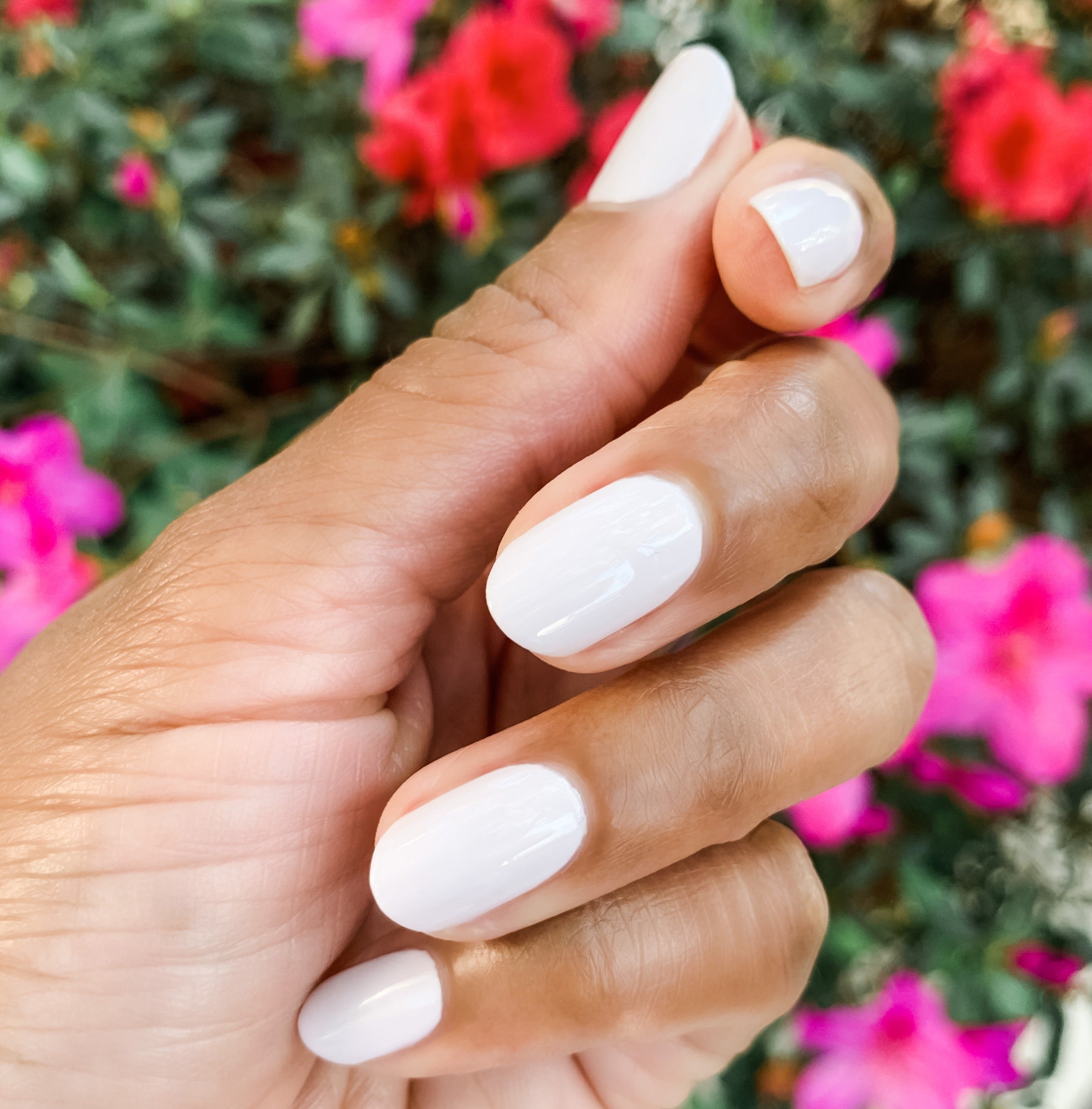 TT、mySite、solidvoid