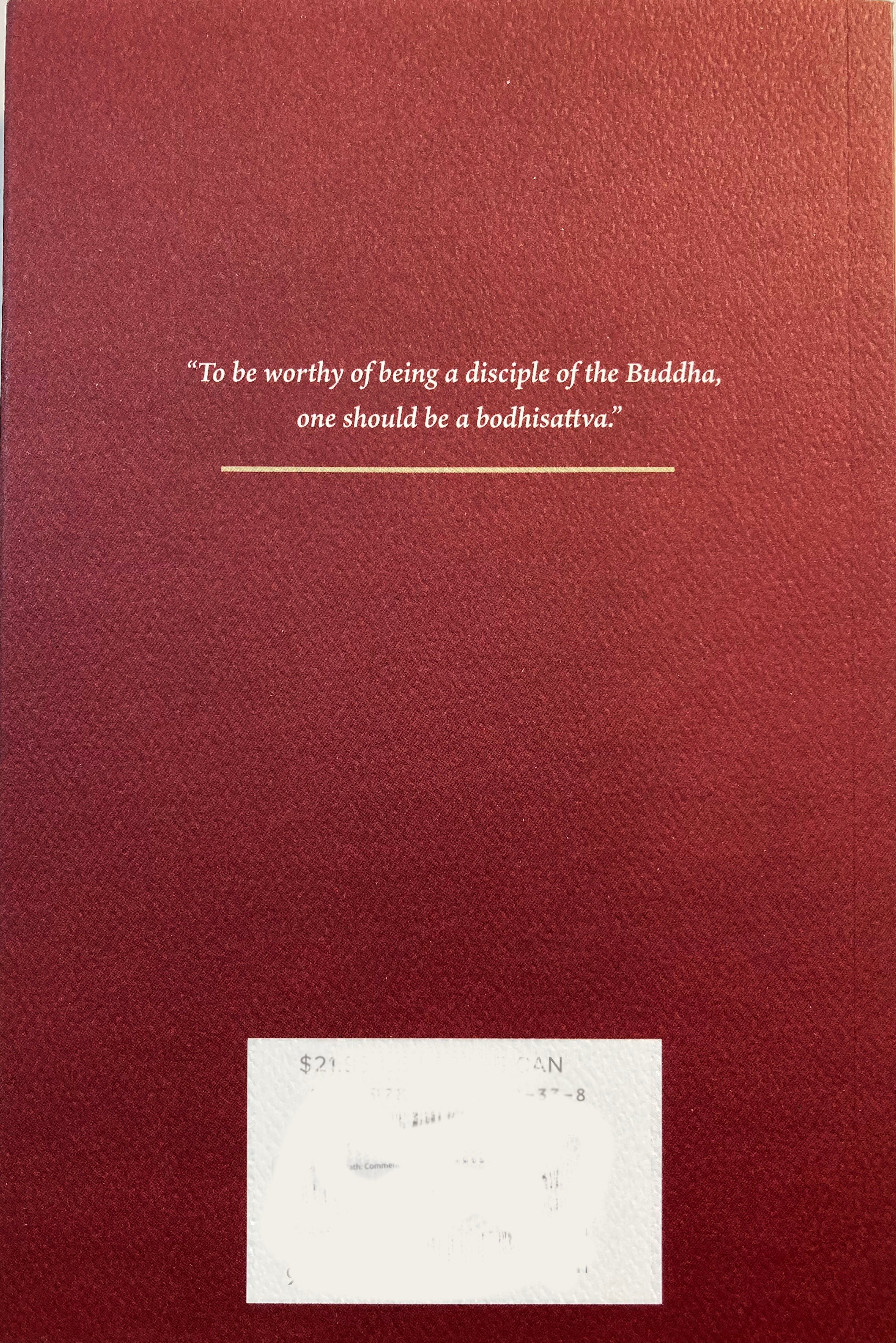 The Bodhisattva Path: Commentary on the Vimalakirti and Ugrapariprccha Sutras、mySite、topwebapps