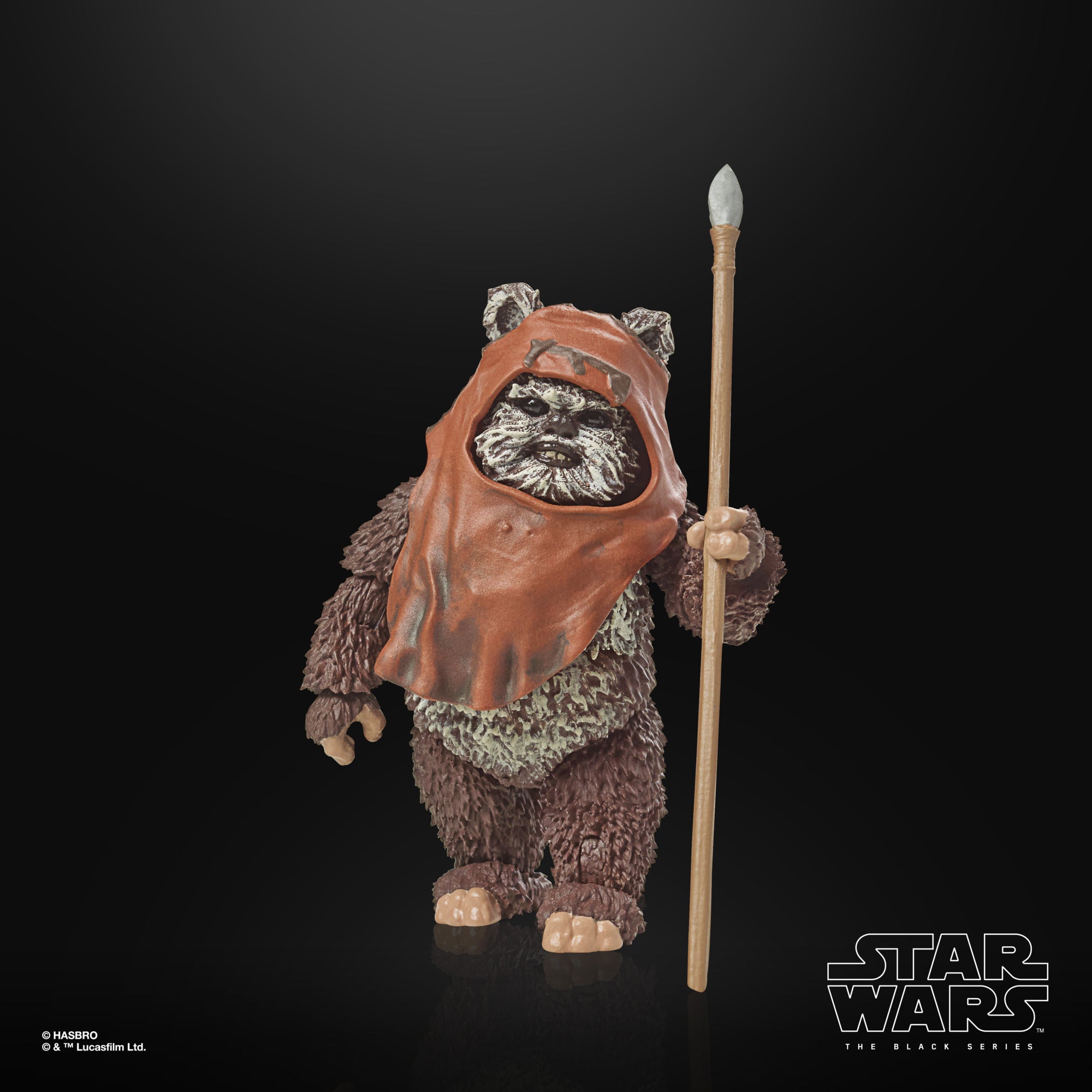 Star Wars The Black Series Return of the Jedi 40th Anniversary Wicket、mySite、hgirdovlk