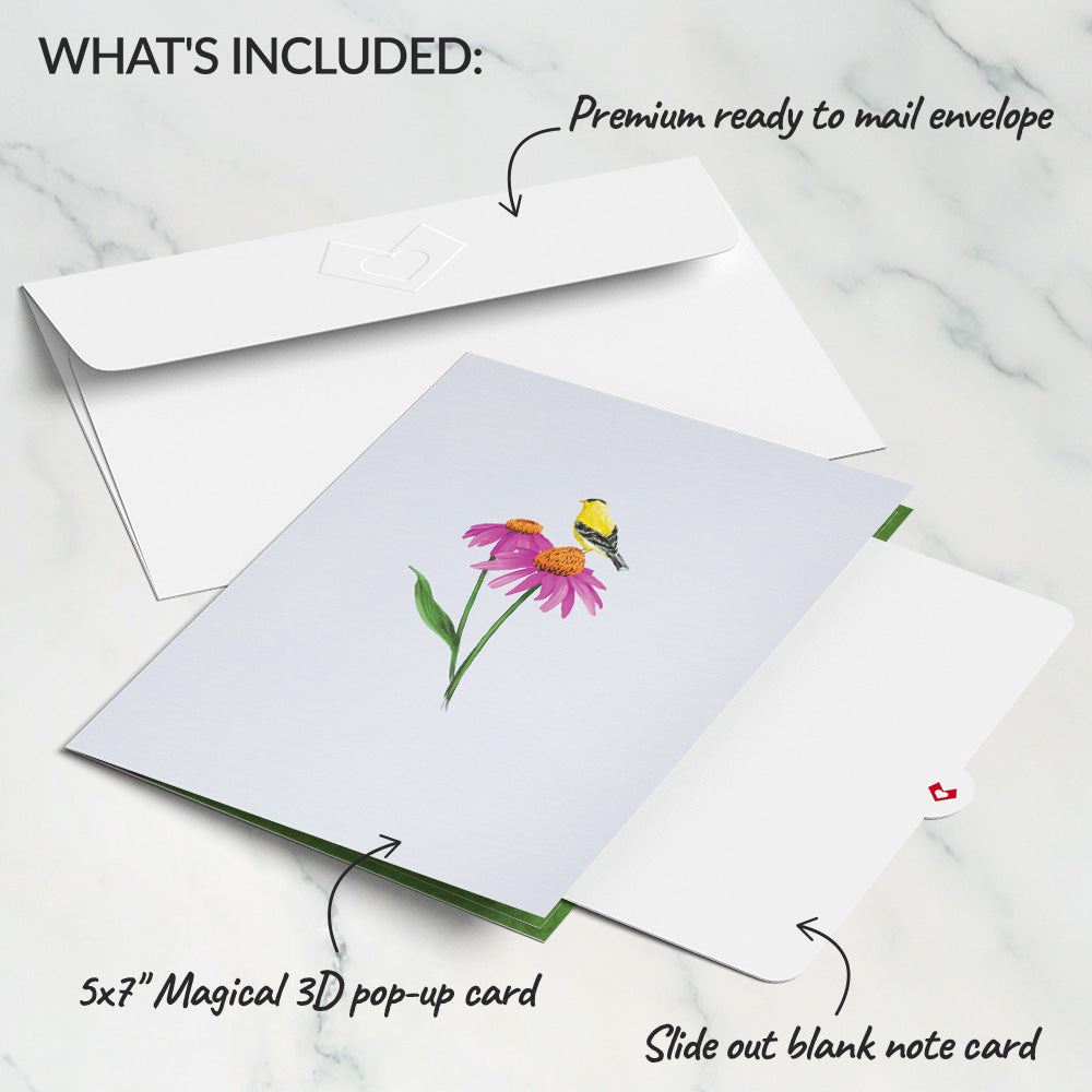 Summer Welcome Pop-Up Card、mySite、solidvoid