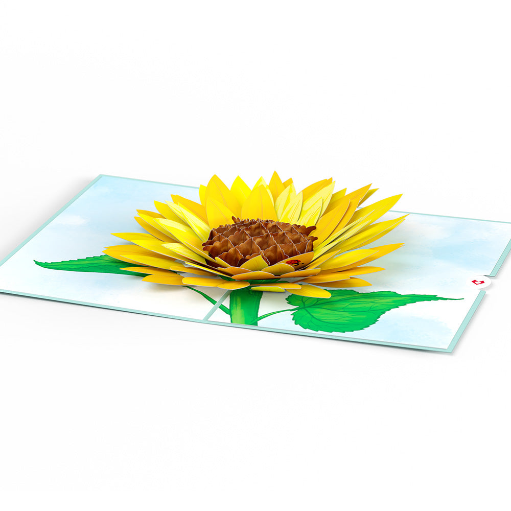 Sunflower Bloom Pop-Up Card、mySite、solidvoid