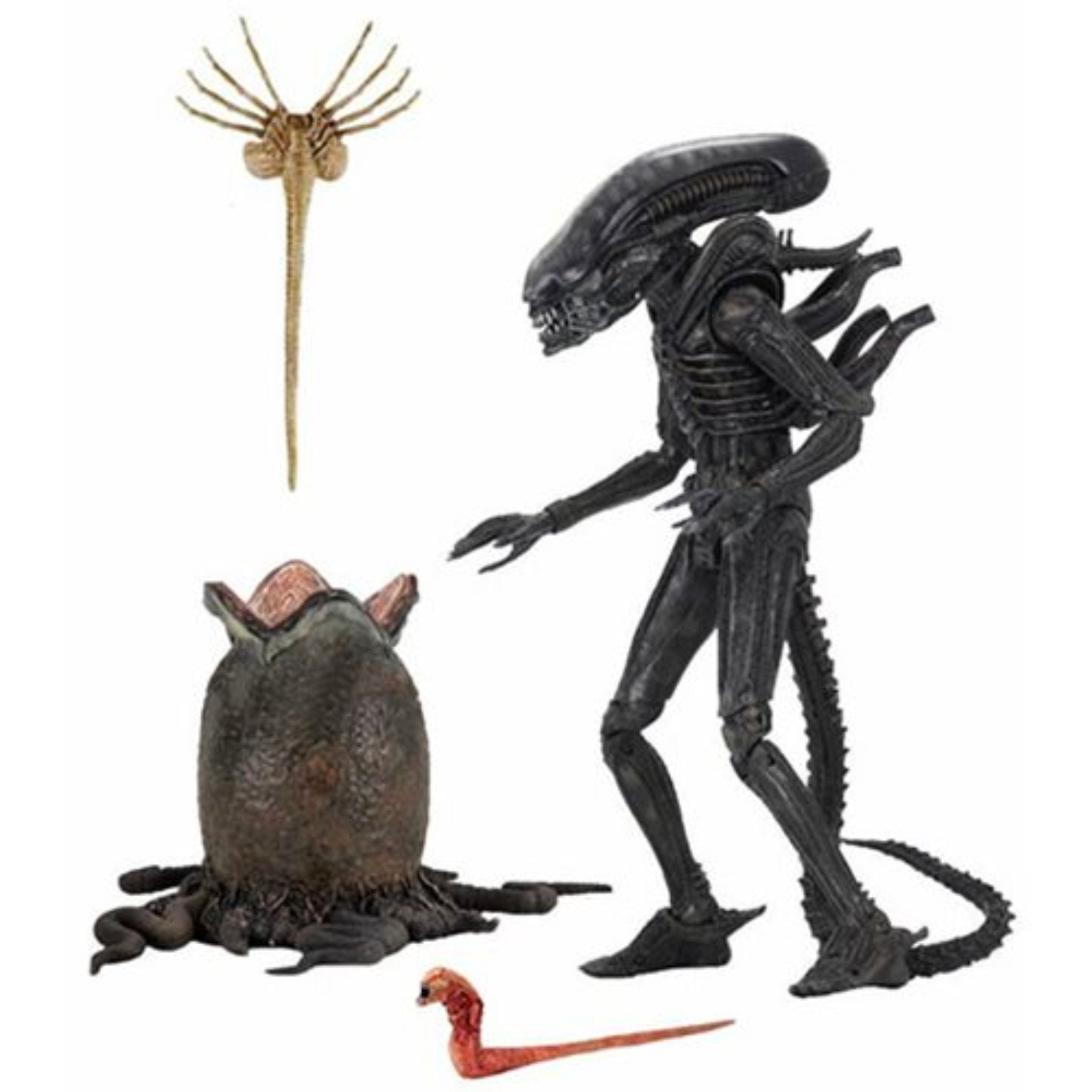 NECA Alien 40th Anniversary Ultimate Big Chap (Re-Issue)、mySite、hgirdovlk