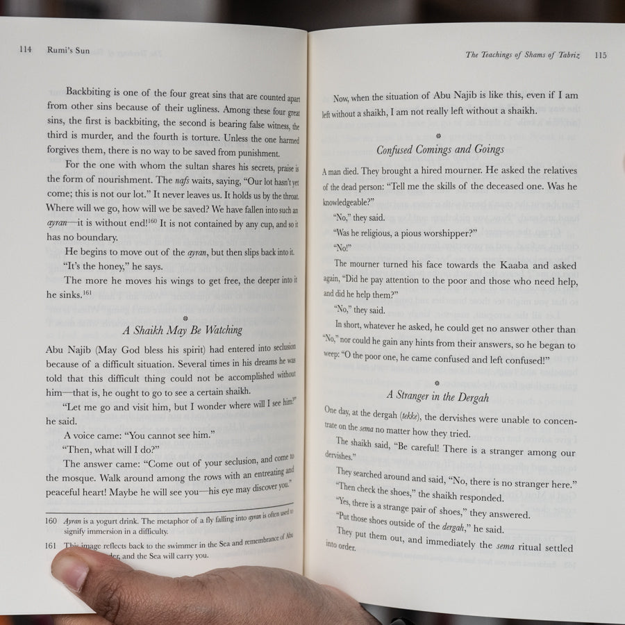 Rumi's Sun: The Teachings of Shams of Tabriz、mySite、topwebapps