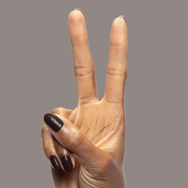 Dark Chocolate、mySite、solidvoid