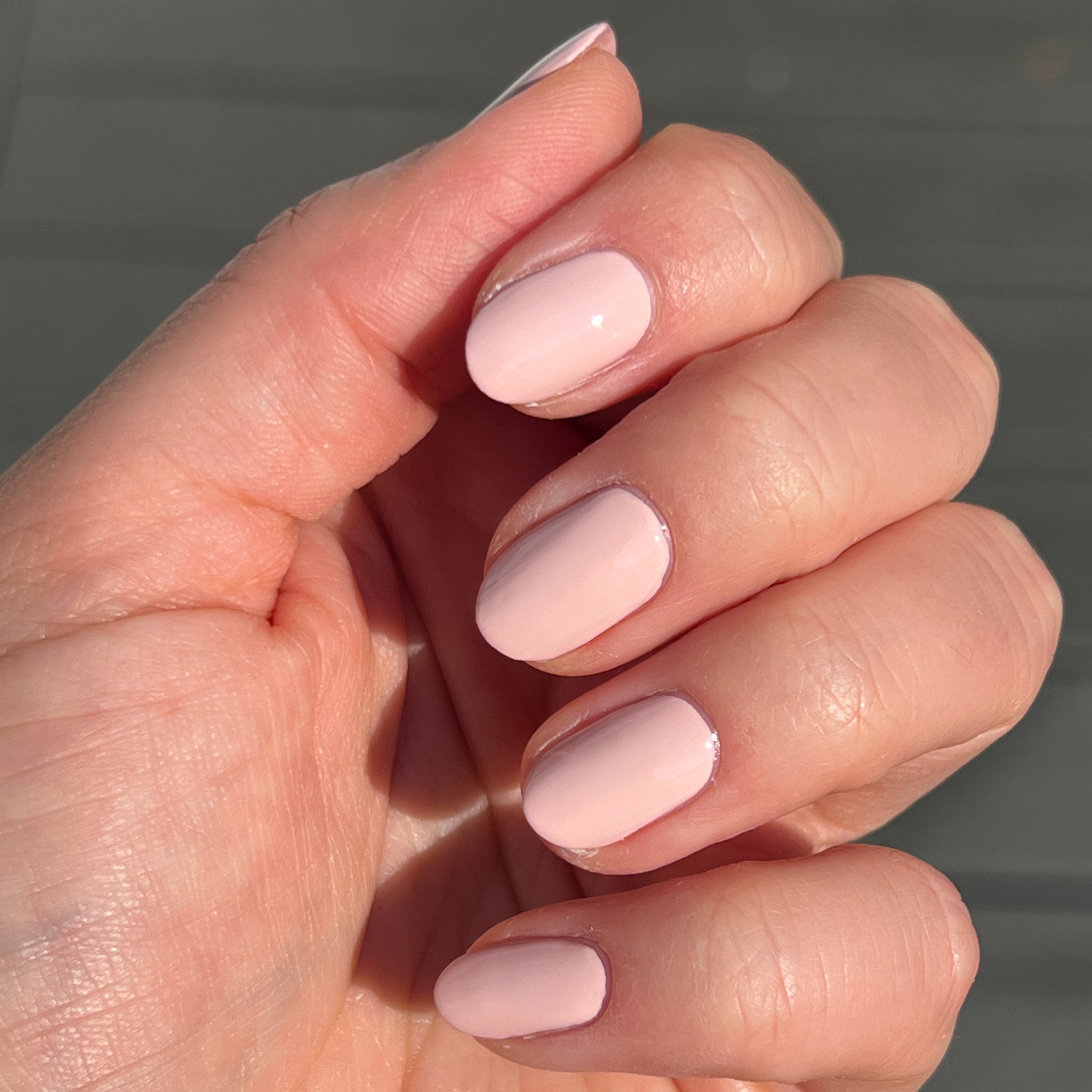 Pointe、mySite、solidvoid