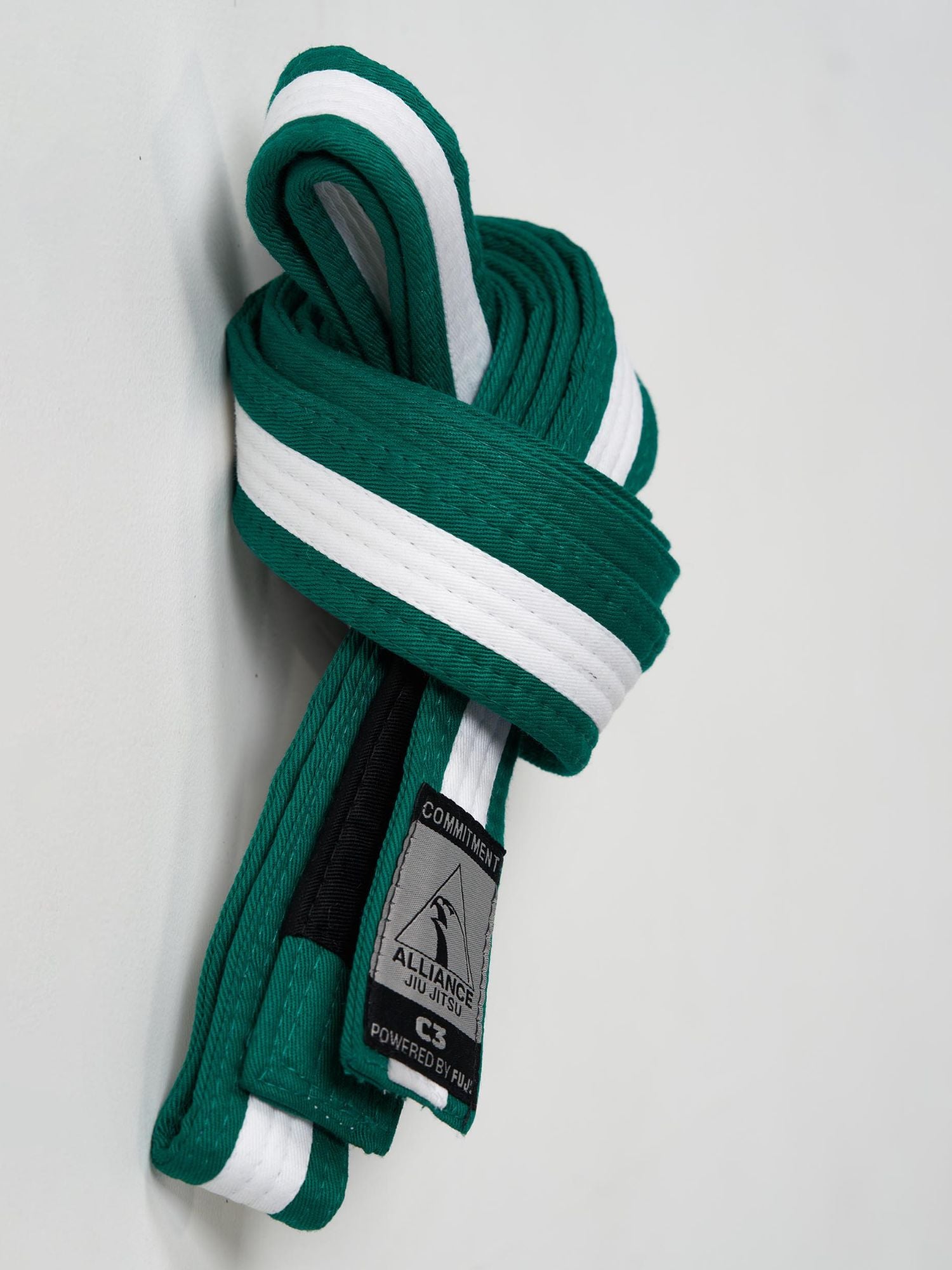 Kids FUJI x Alliance BJJ Belt Green/White、mySite、gigharbornorthrealestate