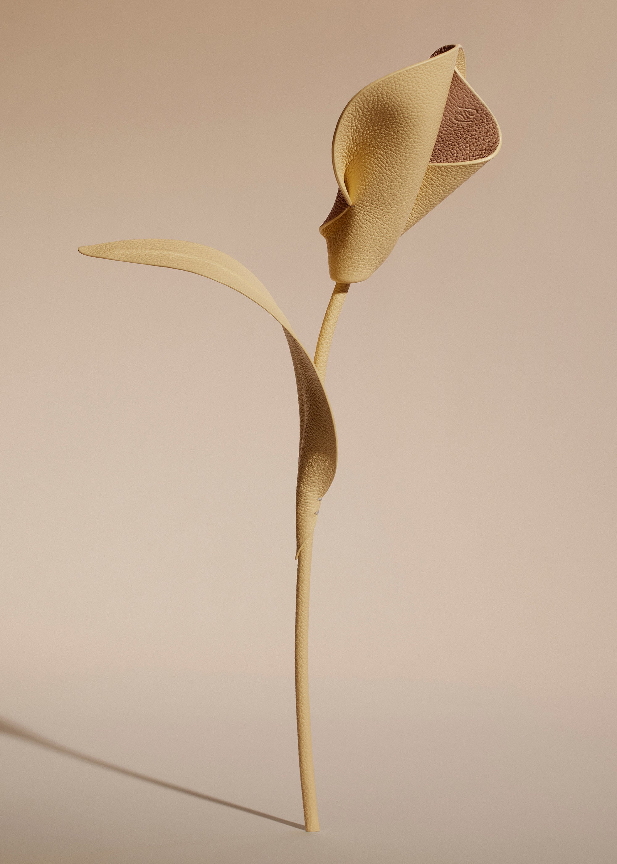 Fleur Pili - Duo Bl茅 Grain茅、mySite、camillekostekn