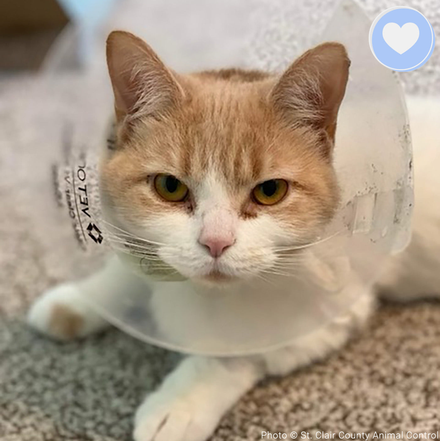 Funded - Help Penelope Play Without Pain、mySite、camillekostekn