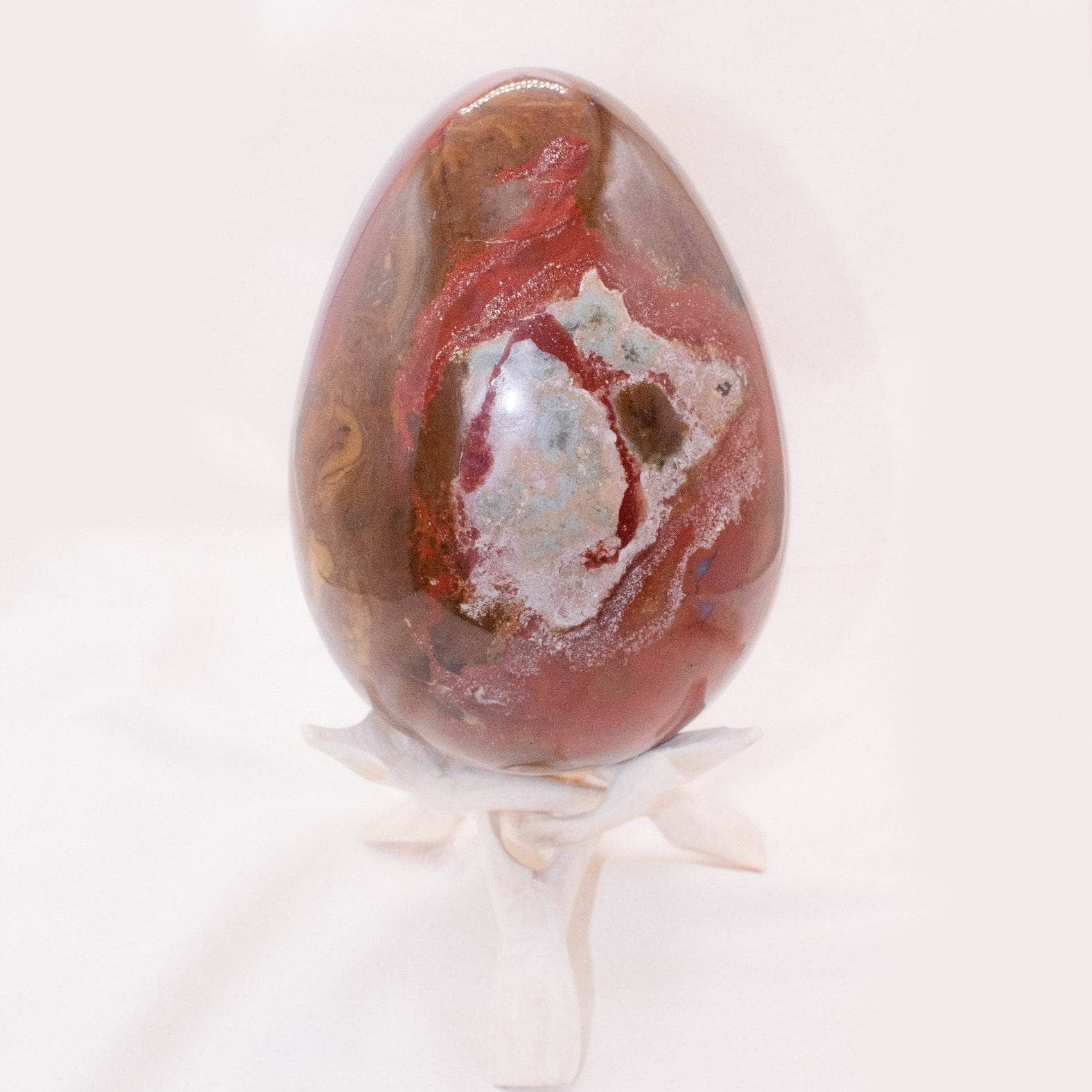 Petrified Wood Egg - AAA Premium Quality、mySite、hinf8tx79