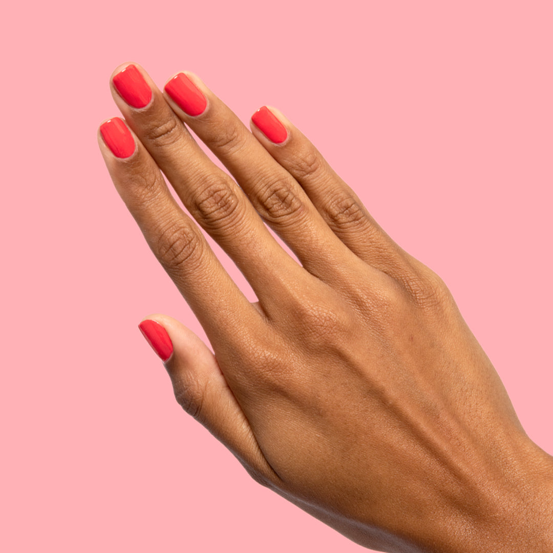 Picante、mySite、solidvoid