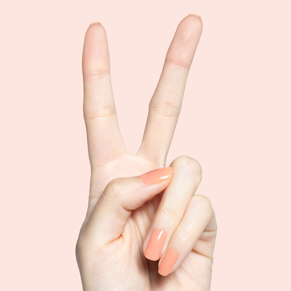 Peeptoe、mySite、solidvoid