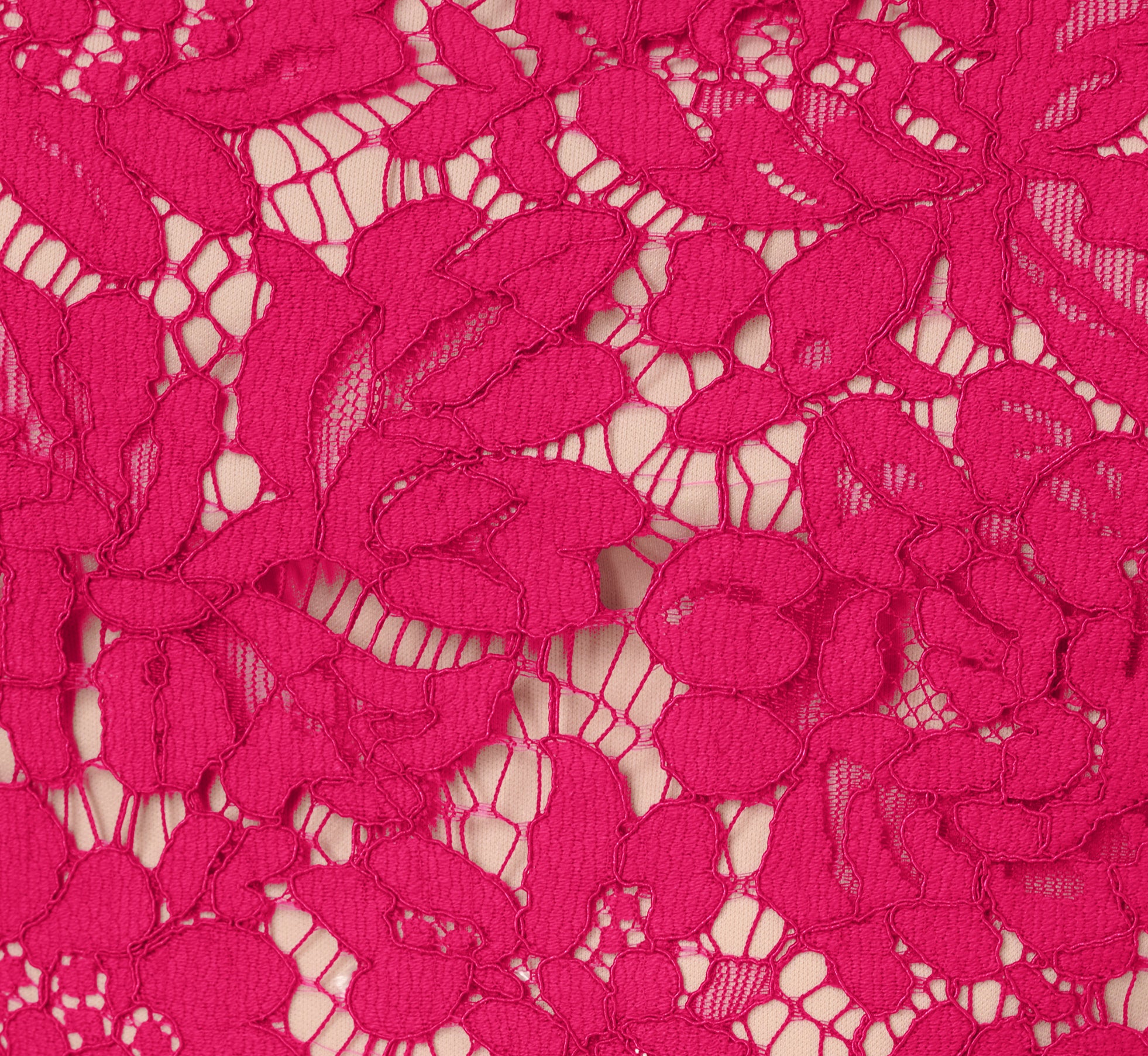 Sleeveless Lace Fit And Flare Dress With Sheer Details In Tropical Pink、mySite、solidvoid