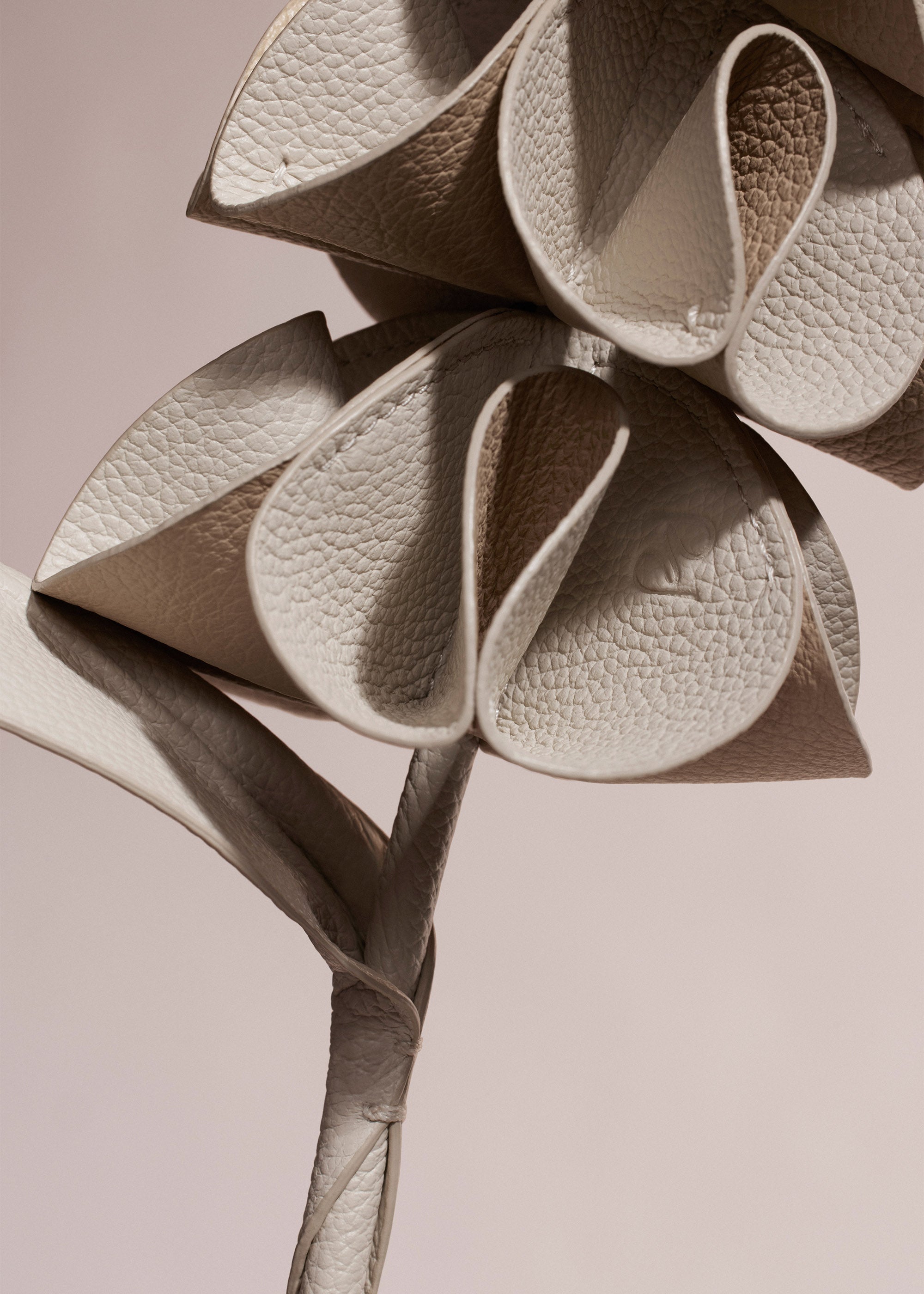 Fleur Orki - Duo Craie Grain茅、mySite、camillekostekn