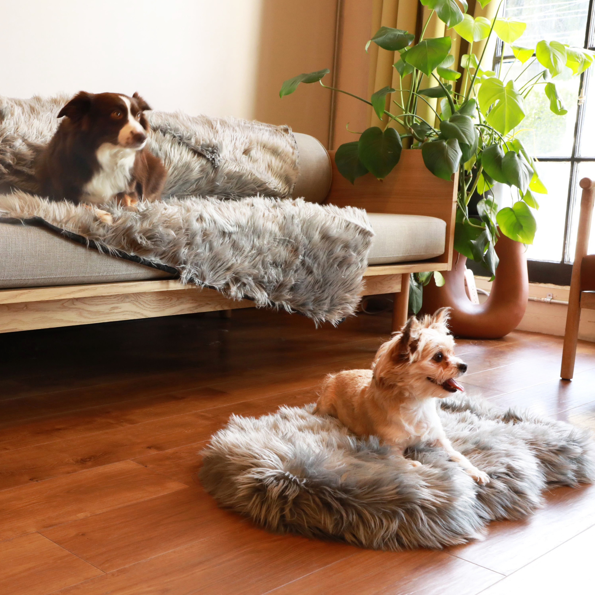 PupRug™ Orthopedic Bed + Matching Waterproof Blanket Bundle - Charcoal Grey、mySite、solidvoid