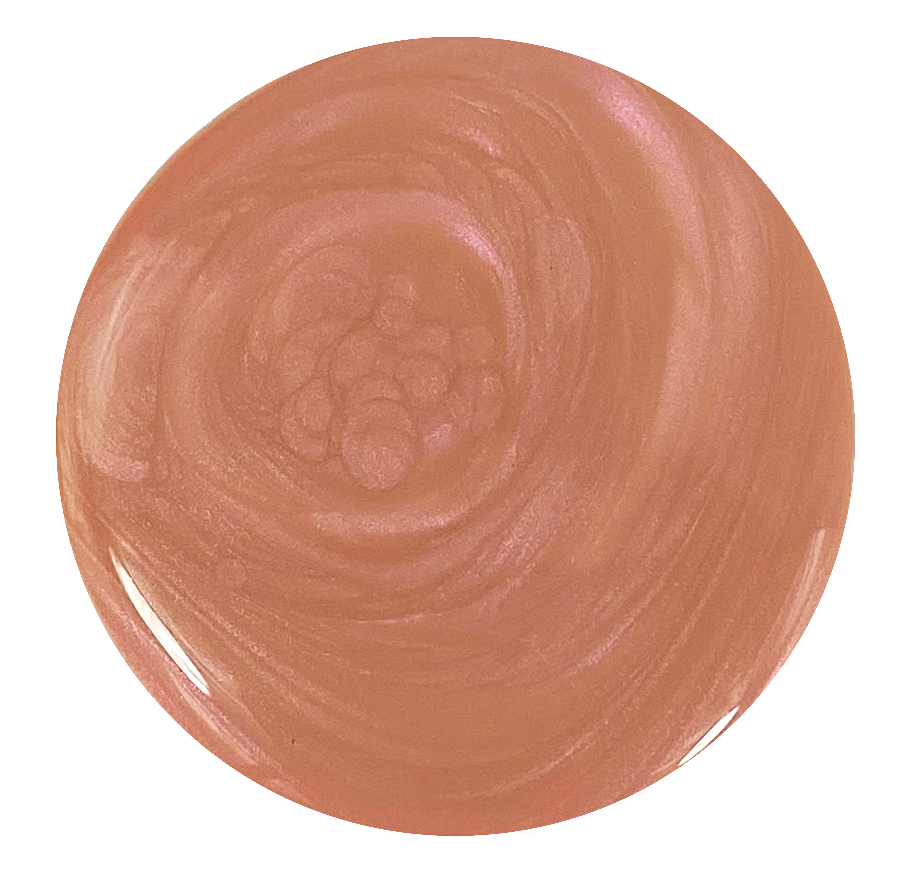 Sandy Scallop - Part of Set、mySite、solidvoid