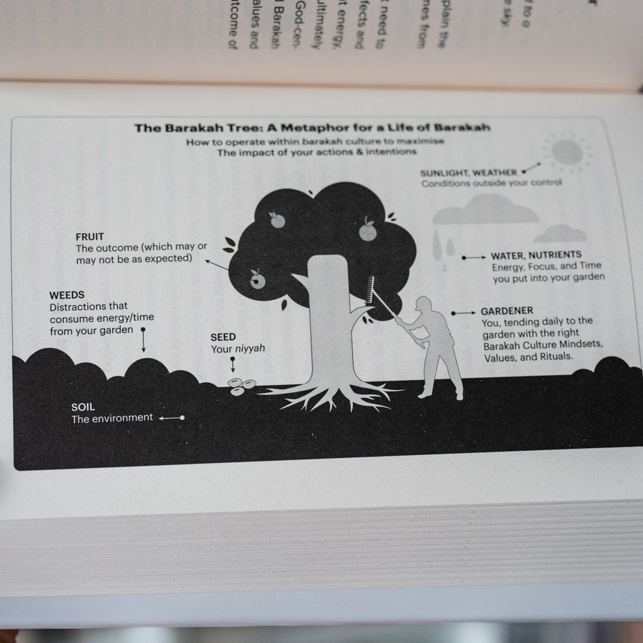 The Barakah Effect: More With Less、mySite、topwebapps