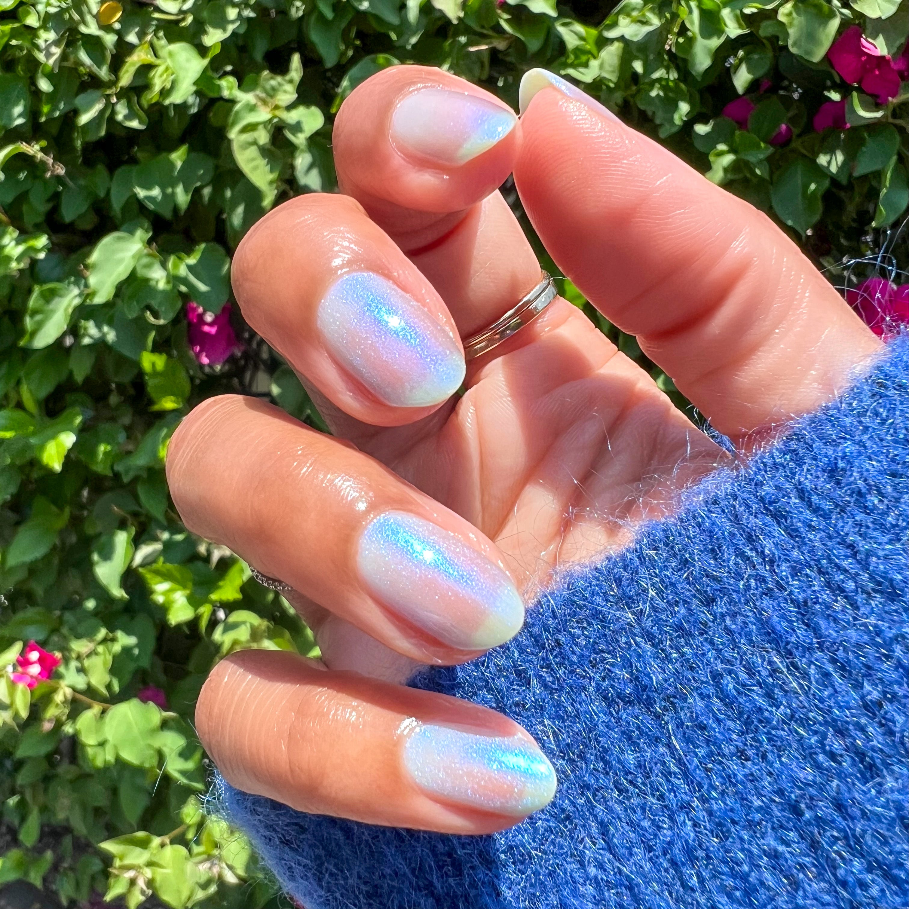 Whale of a Time、mySite、solidvoid