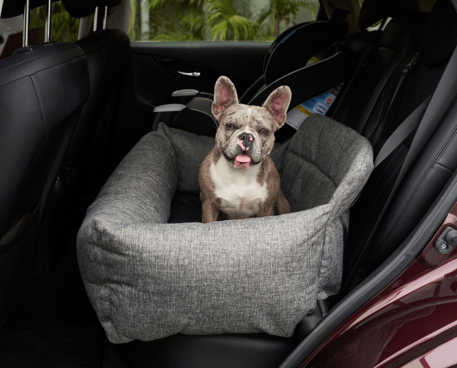 PupProtector™ Memory Foam Dog Car Bed、mySite、solidvoid
