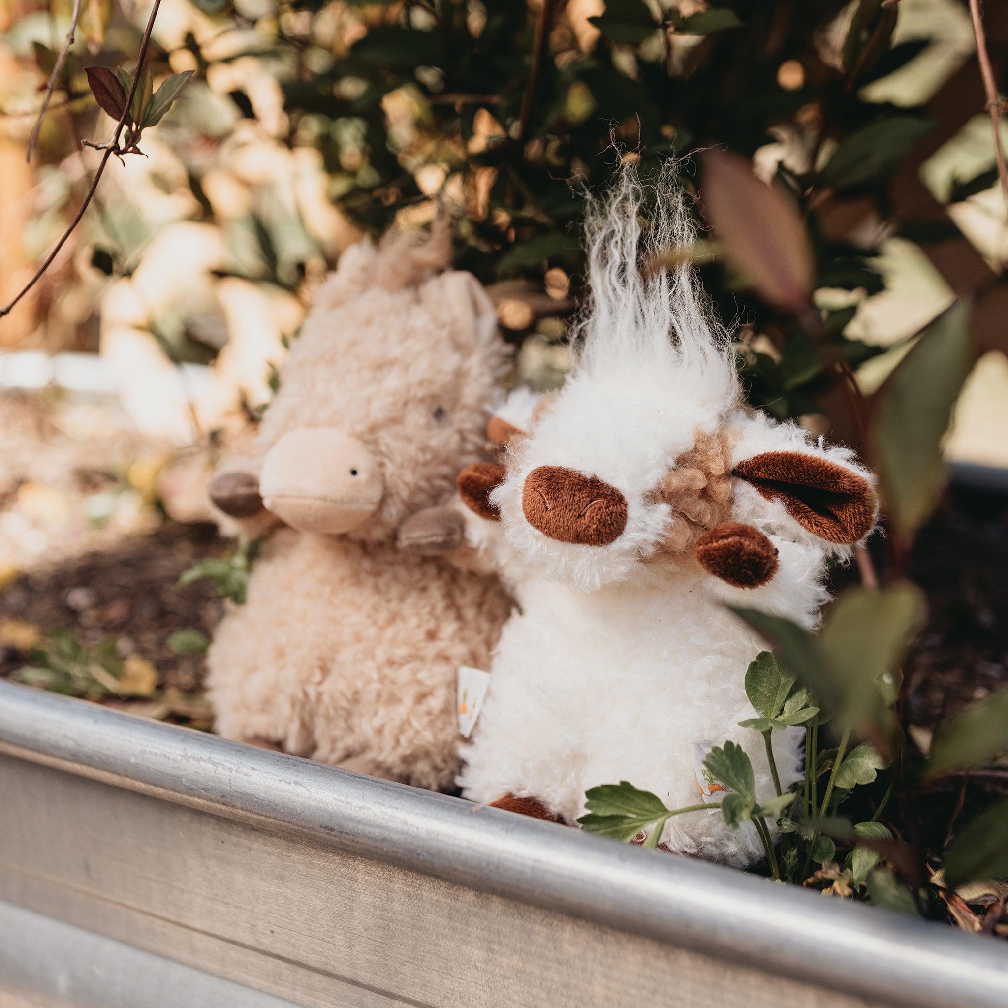 Wee Pony Boy、mySite、g9winljtr