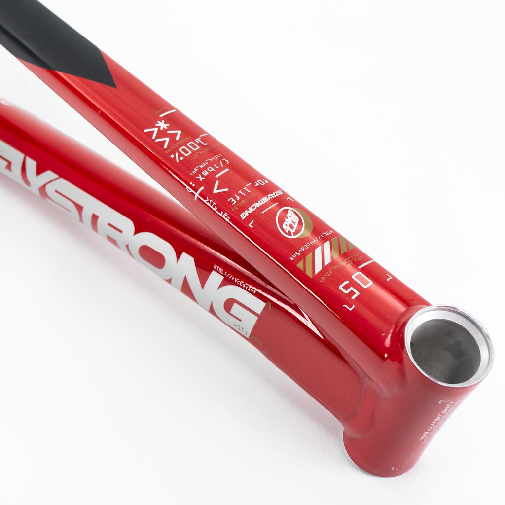  Stay Strong For Life V5 Junior Frame 2025、mySite、merchandisen