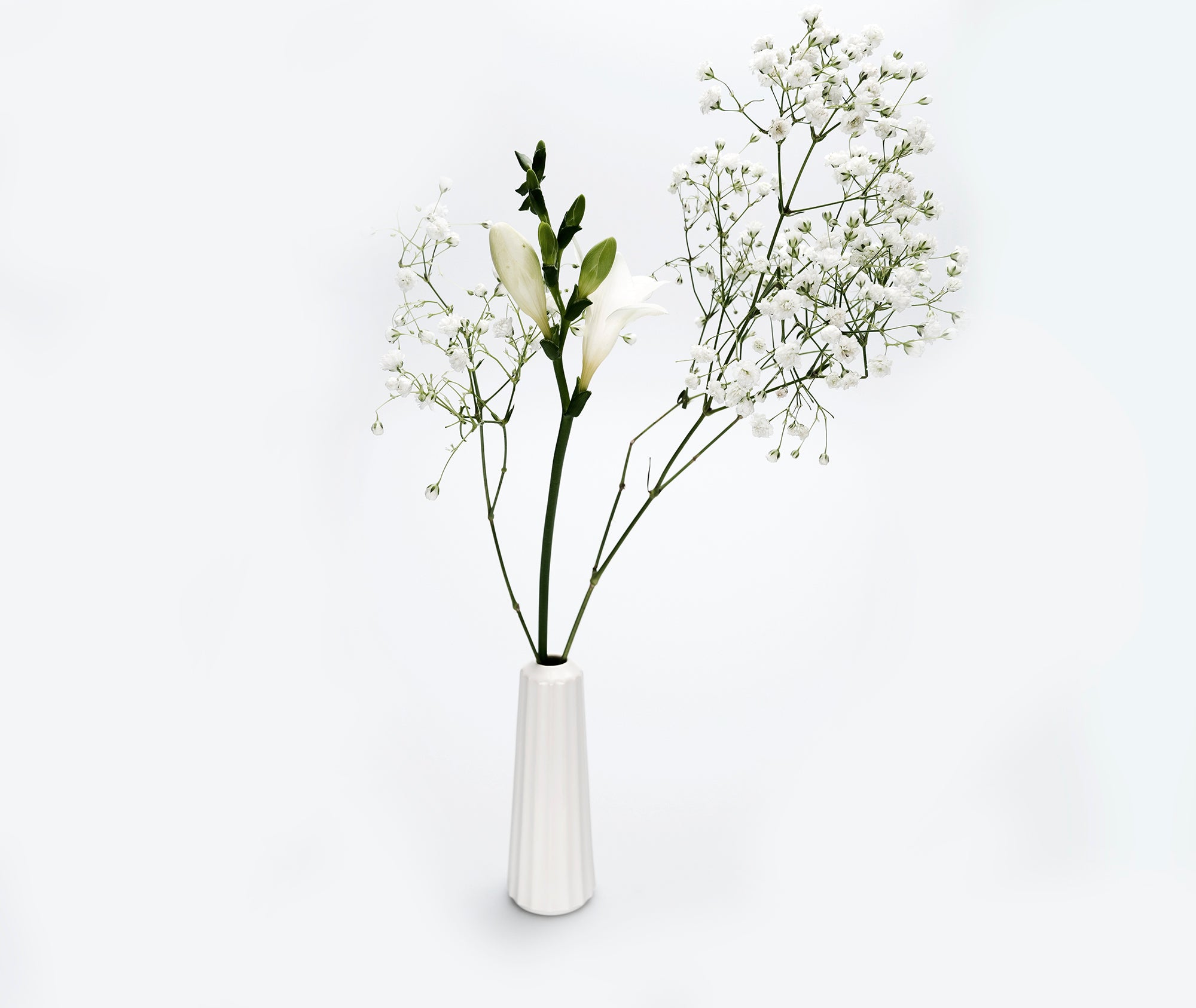Shinogi Vase、mySite、topwebapps