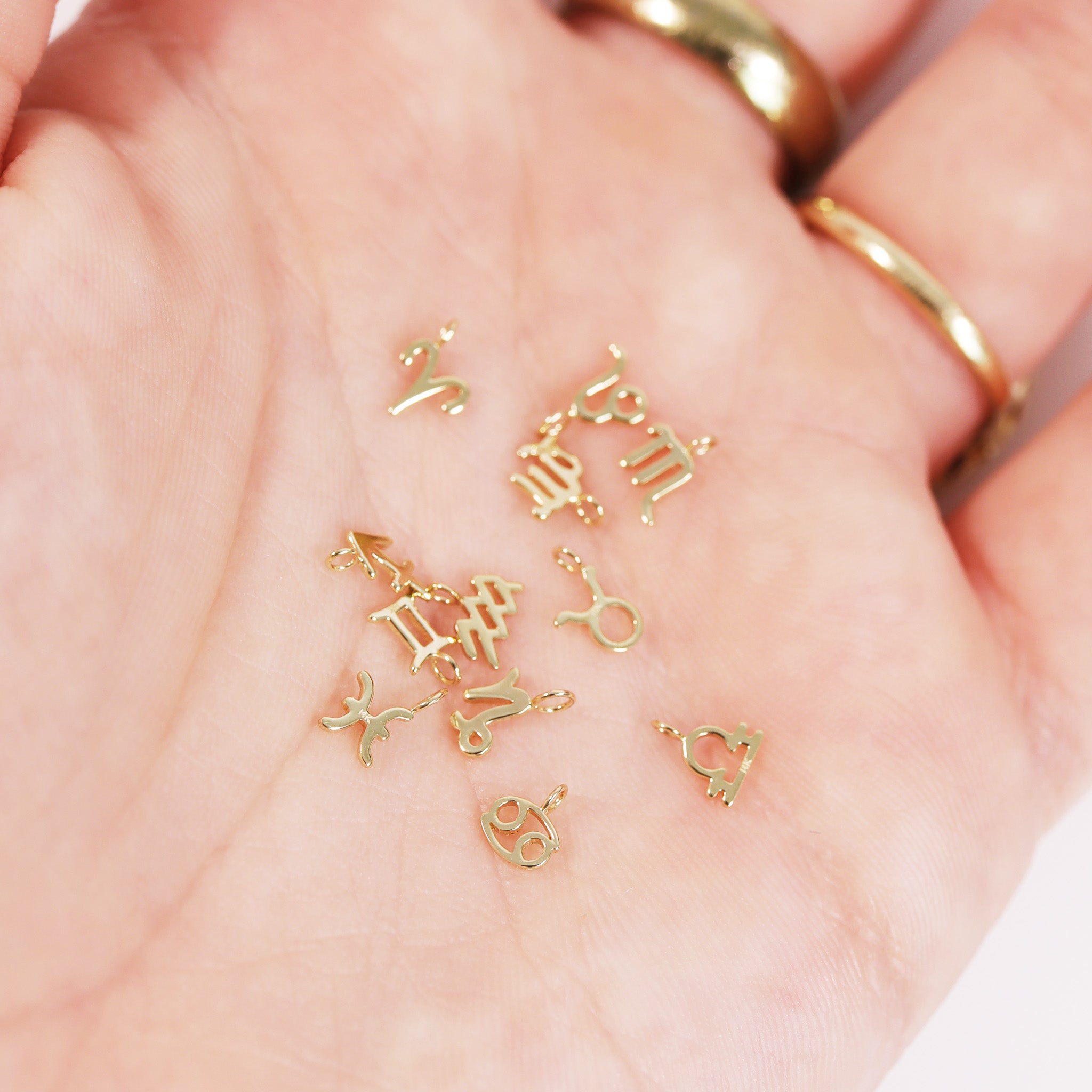 Permanent Jewelry 14K Solid Gold Zodiac Charms / PMJ1017、mySite、dreamappss