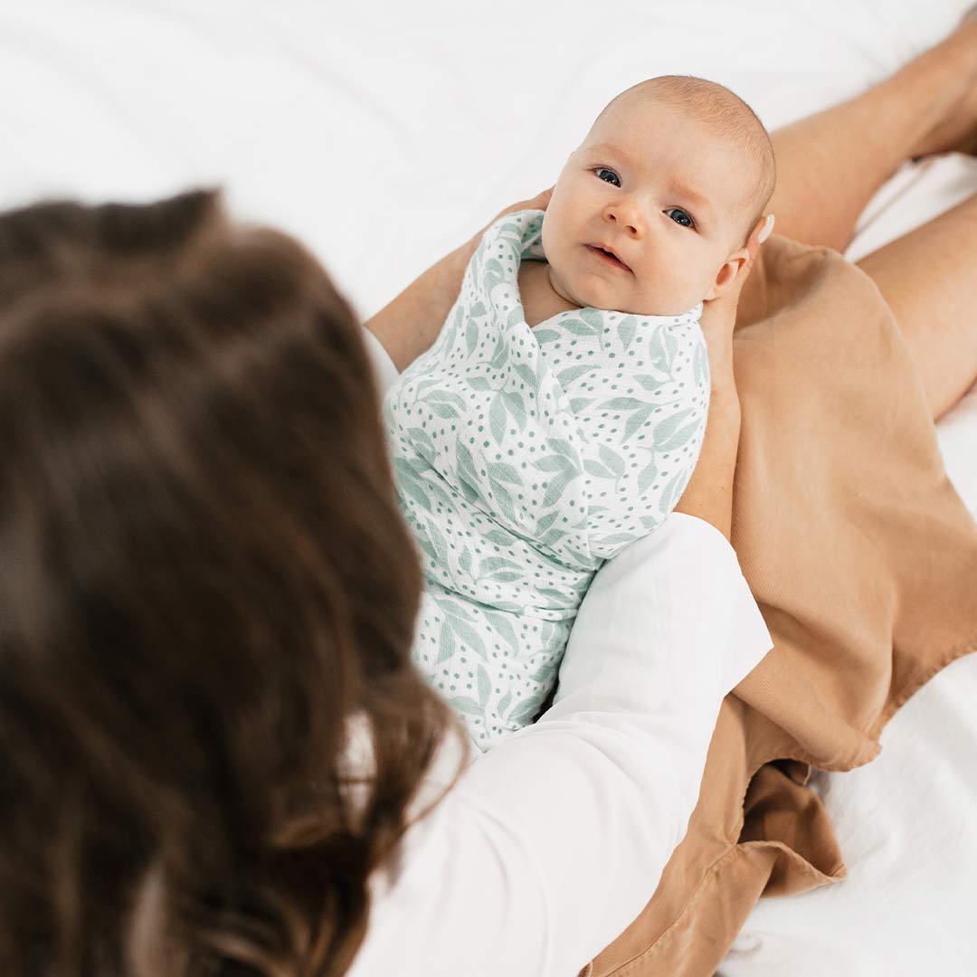  aden + anais Essentials Muslin Swaddles - Damsel - 4 Pack、mySite、merchandisen