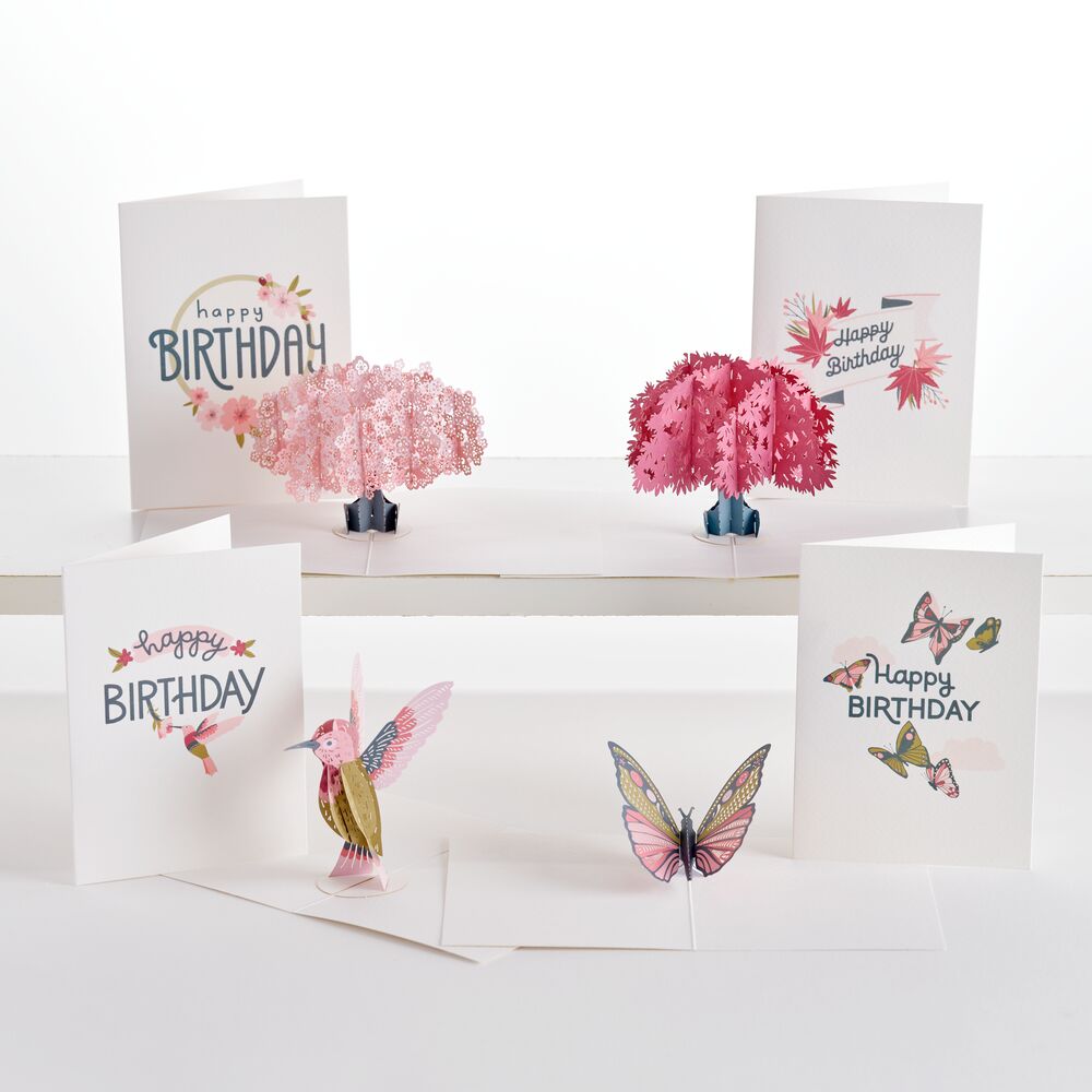 Birthday Garden Notecards (Assorted 4-Pack)、mySite、solidvoid