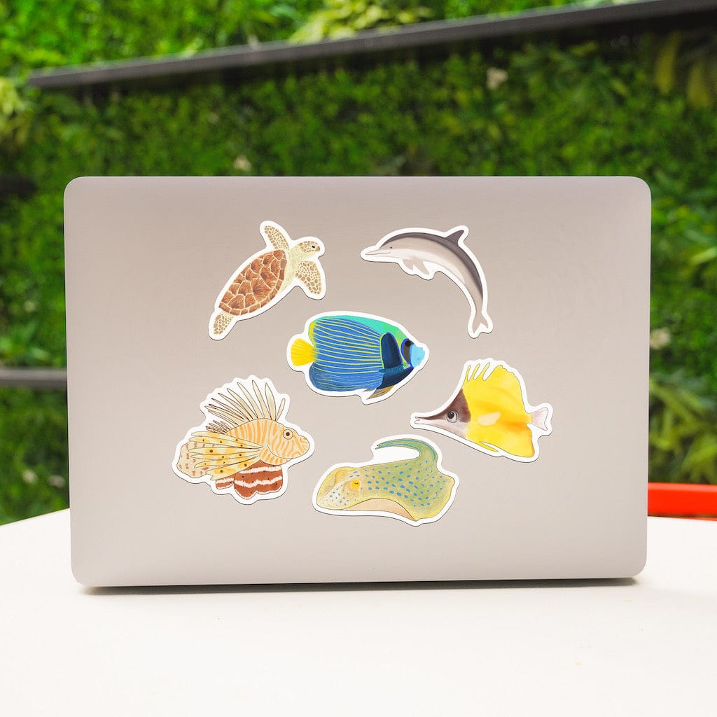  Tropical Fish 6 Pack、mySite、elrpsem3k