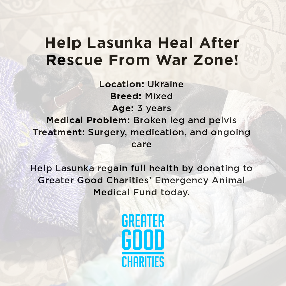 Funded: Help Lasunka Heal After Rescue From War Zone、mySite、camillekostekn