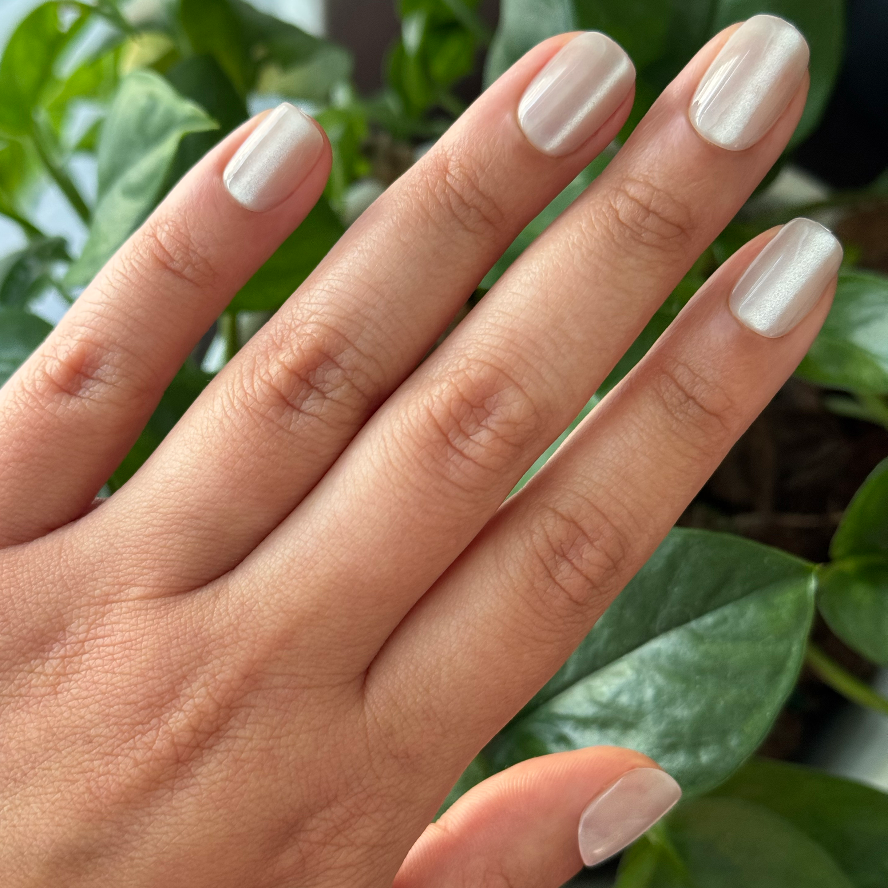 Marshmallow Velvet - Press-On | Extra Short | Squoval、mySite、solidvoid