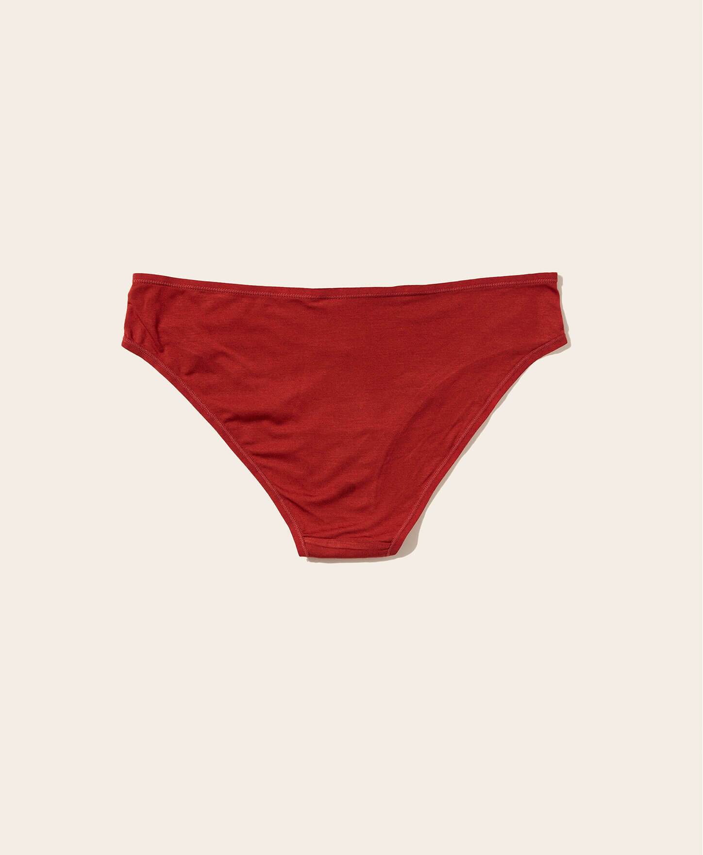  The Bikini Panty - Rayon - Deep Terracotta、mySite、ashleygrahame