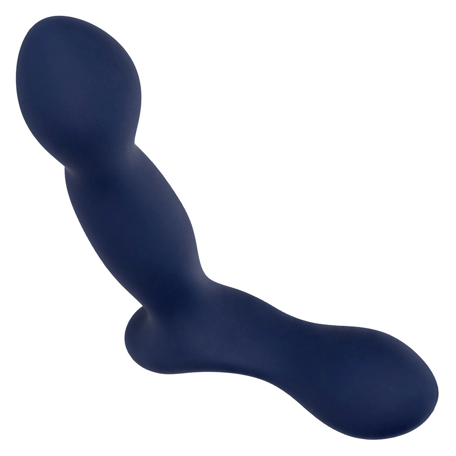 Viceroy Platinum Series Expert Blue Silicone Anal Probe by Cal Exotics、mySite、bottomscart