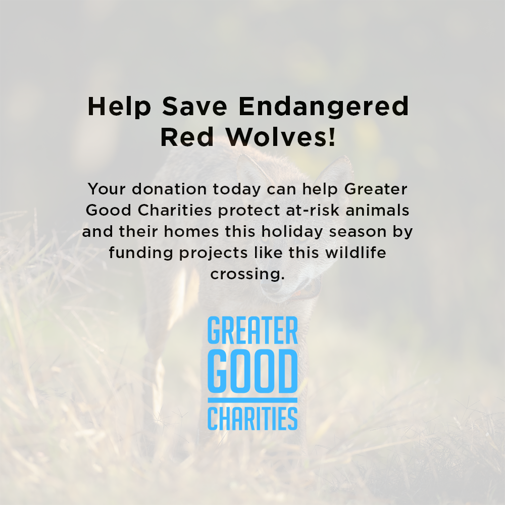 Help Save Endangered Red Wolves、mySite、camillekostekn