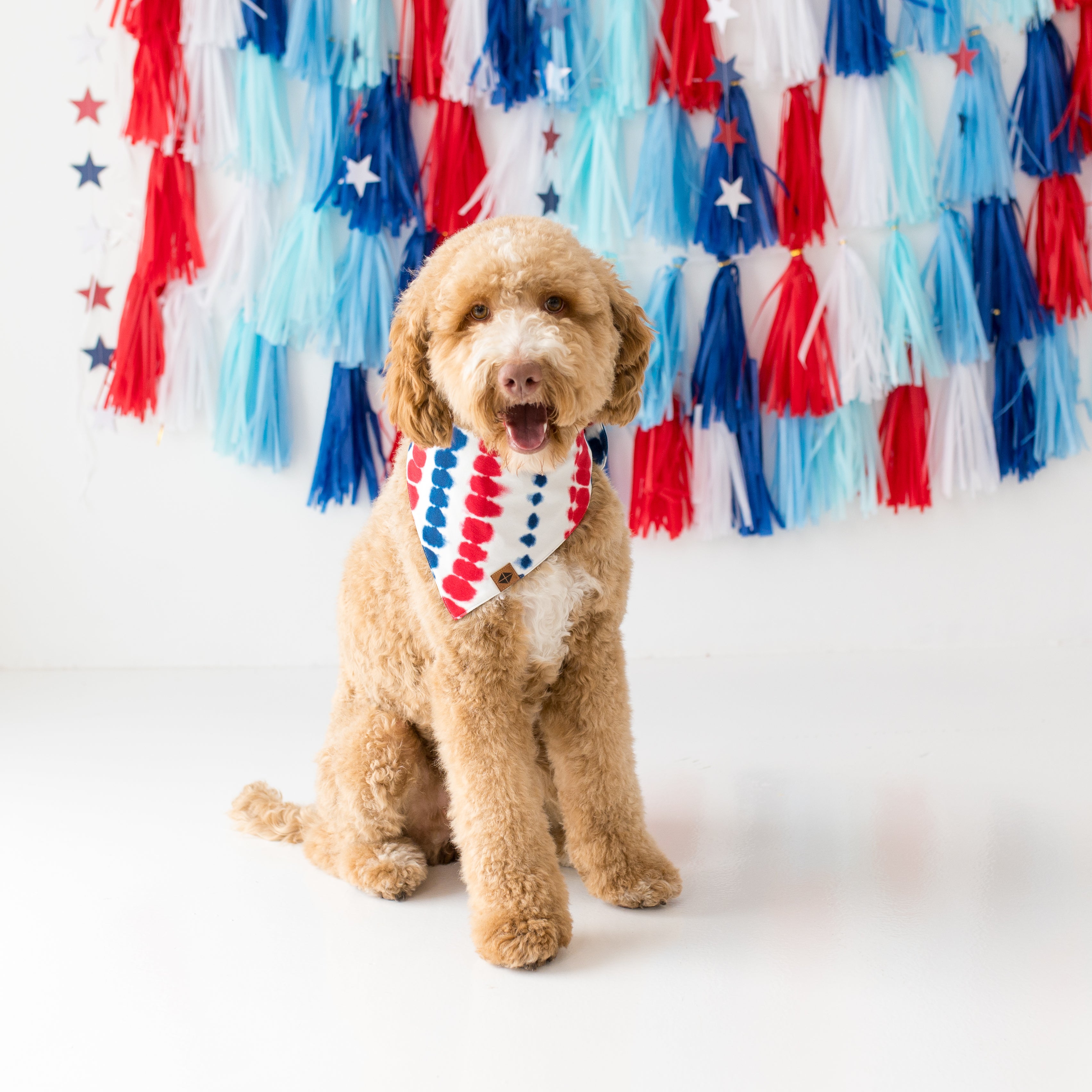  Dog Bandana in Liberty Rip Tide、mySite、layawaytickets