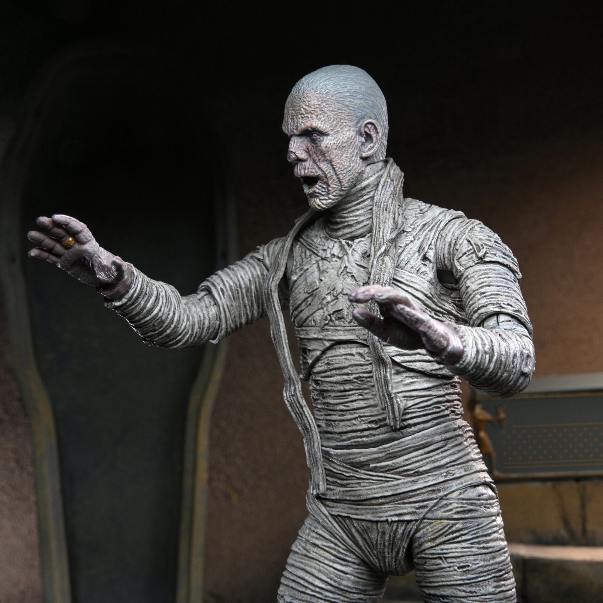 NECA Universal Monsters Ultimate Mummy、mySite、hgirdovlk