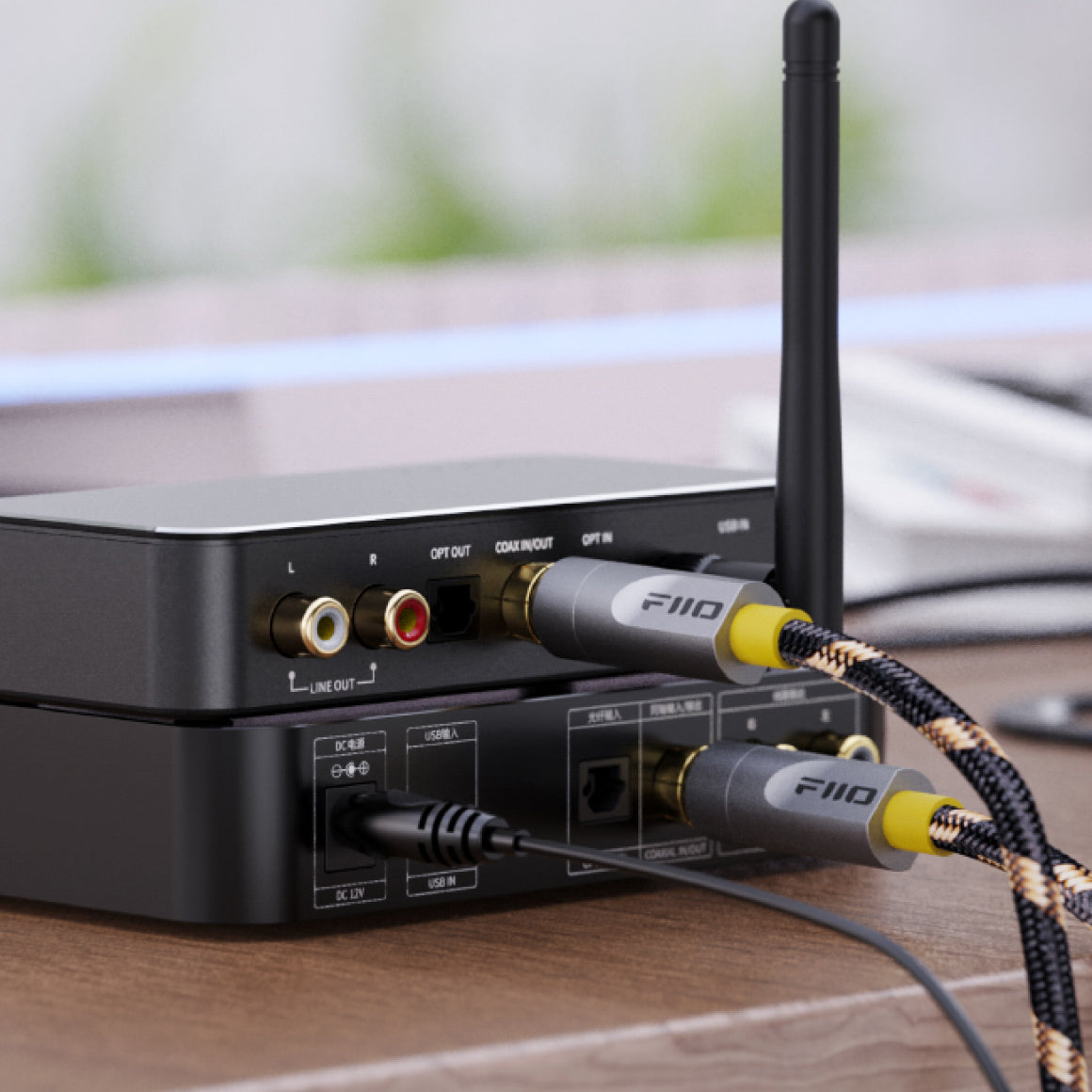  FiiO - LR-RCA5、mySite、merchandisen