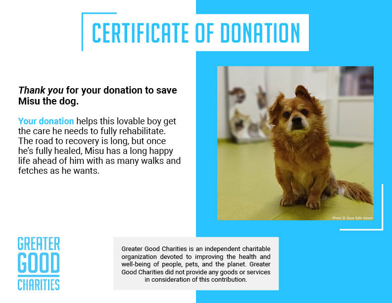 Funded: Misu Needs Your Support After Losing Leg to Infection、mySite、camillekostekn