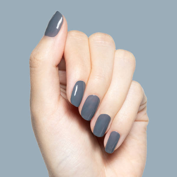 Torrential、mySite、solidvoid