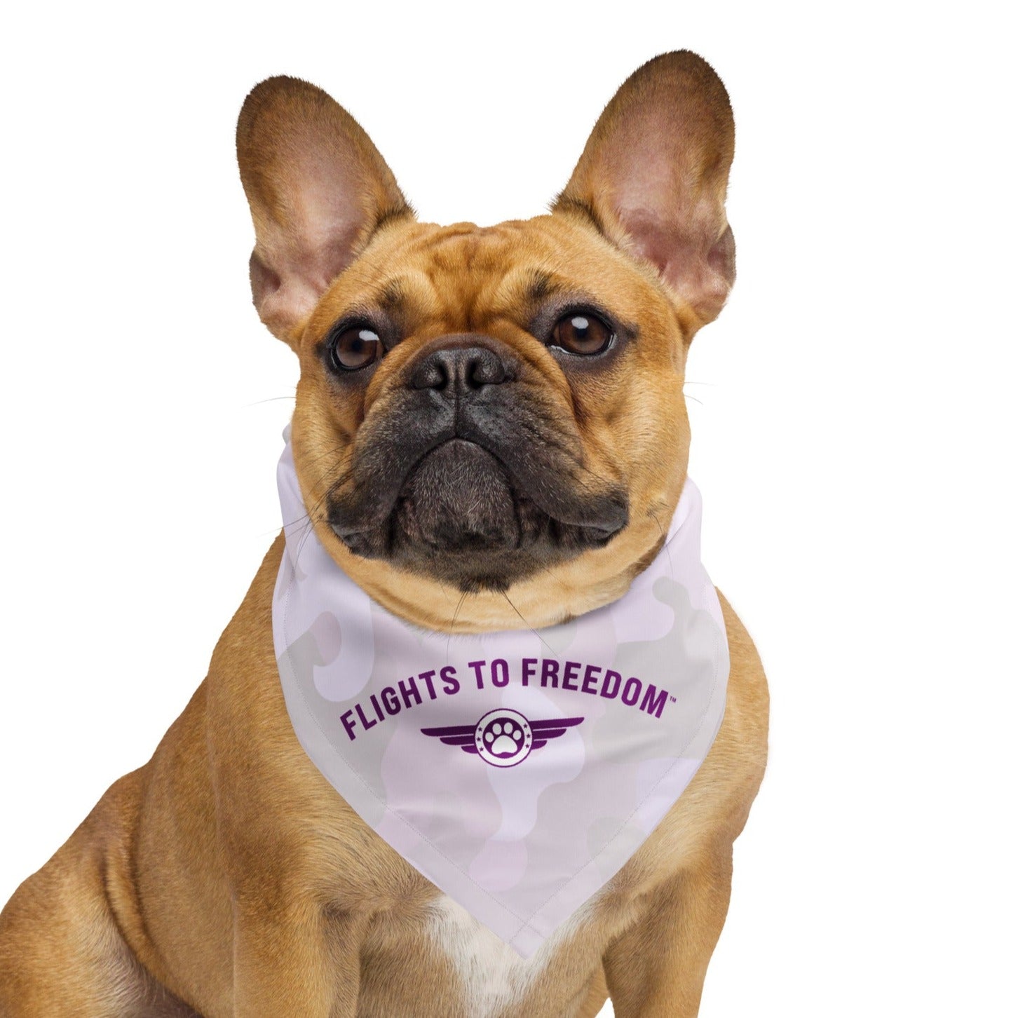 Flights to Freedom Bandana、mySite、camillekostekn