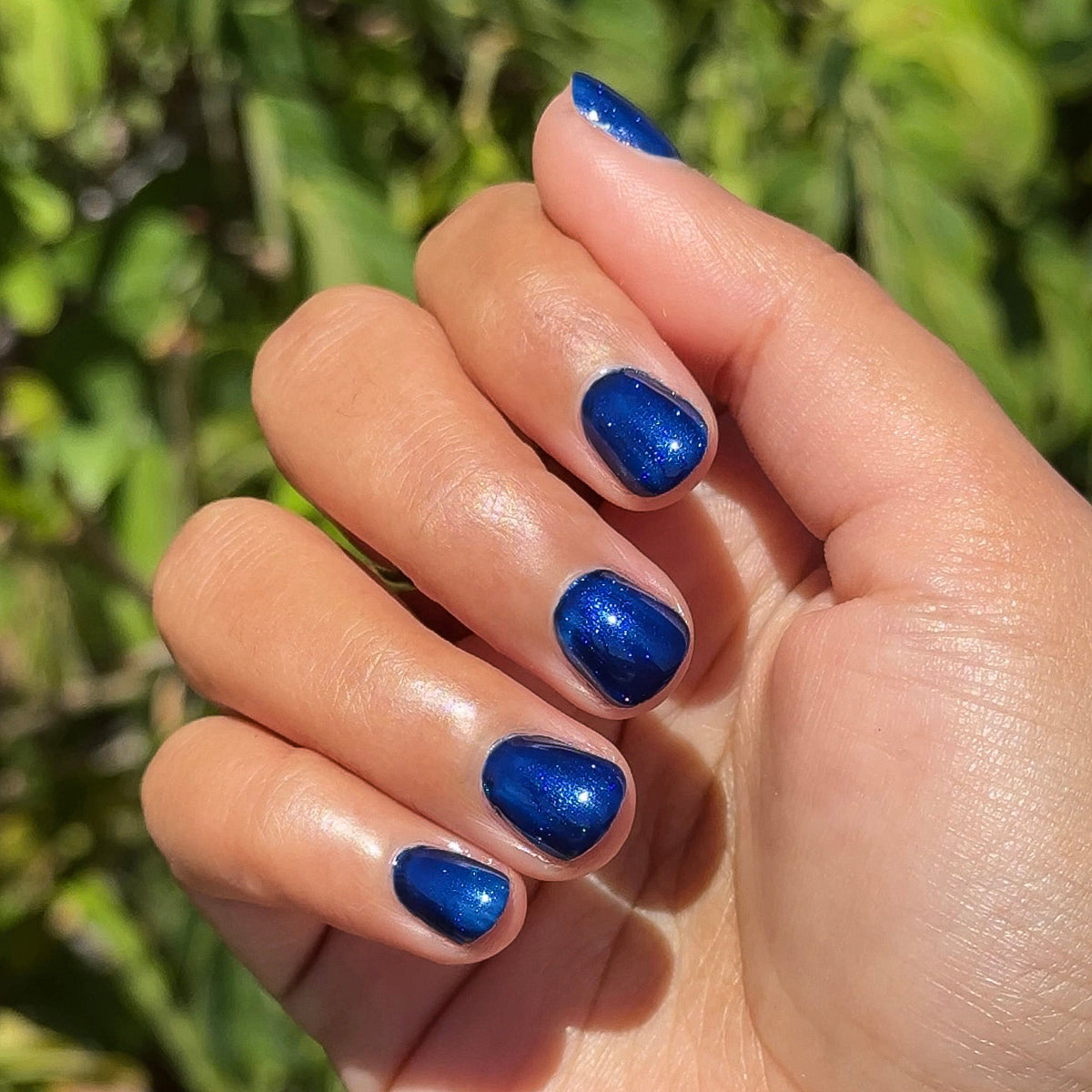 Midnight、mySite、solidvoid