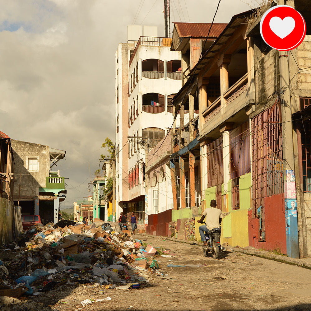 URGENT: Rush Aid to Haiti Now、mySite、camillekostekn