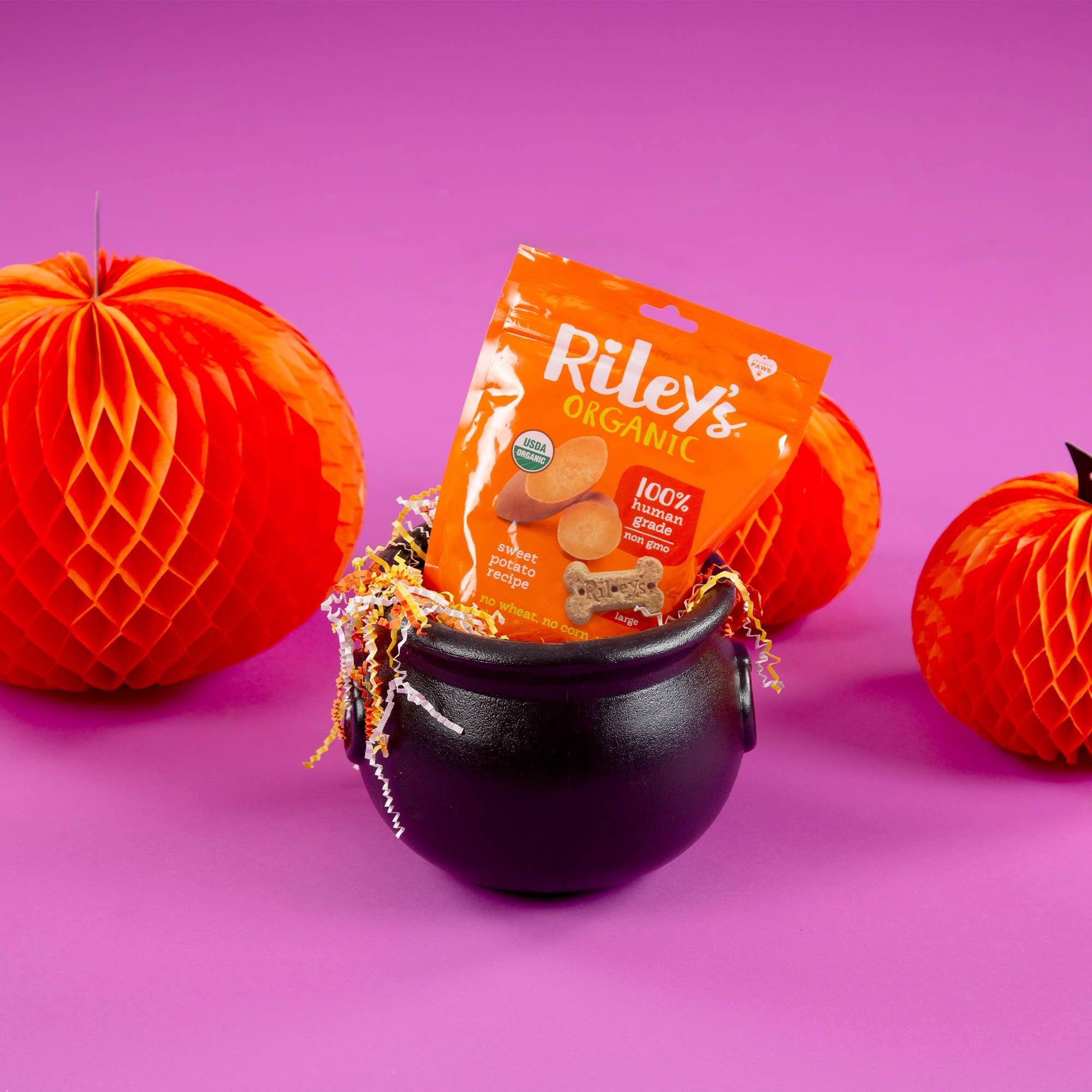 Halloween Treats for Shelter Animals、mySite、camillekostekn