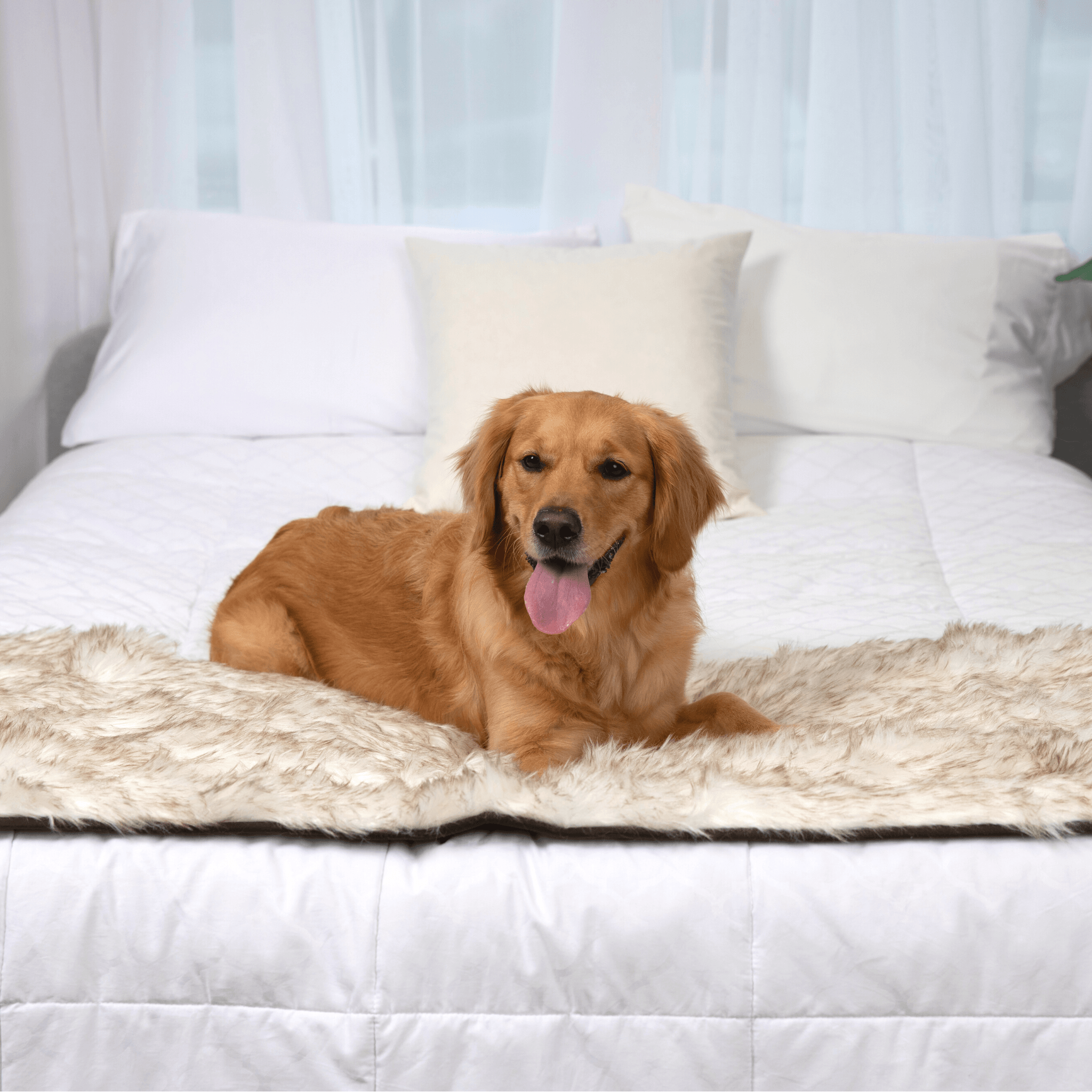 PupProtector™ Waterproof Bed Runner - White with Brown Accents、mySite、solidvoid