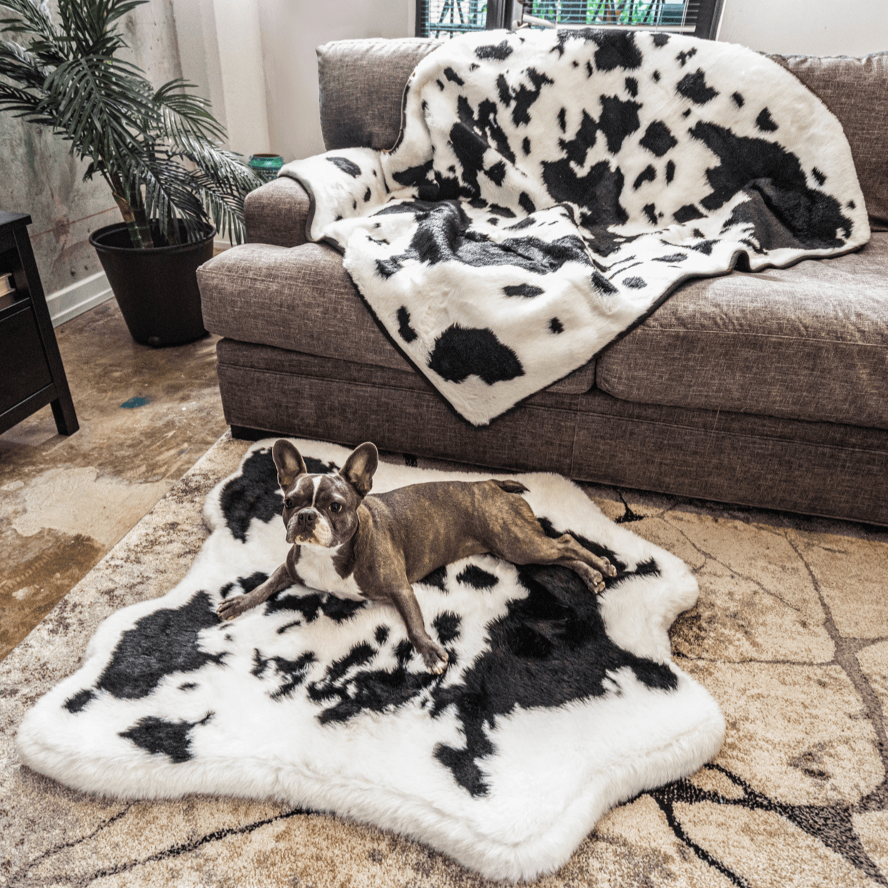 PupRug™ Junior Memory Foam Bed + Matching Waterproof Blanket Bundle - Black Faux Cowhide、mySite、solidvoid