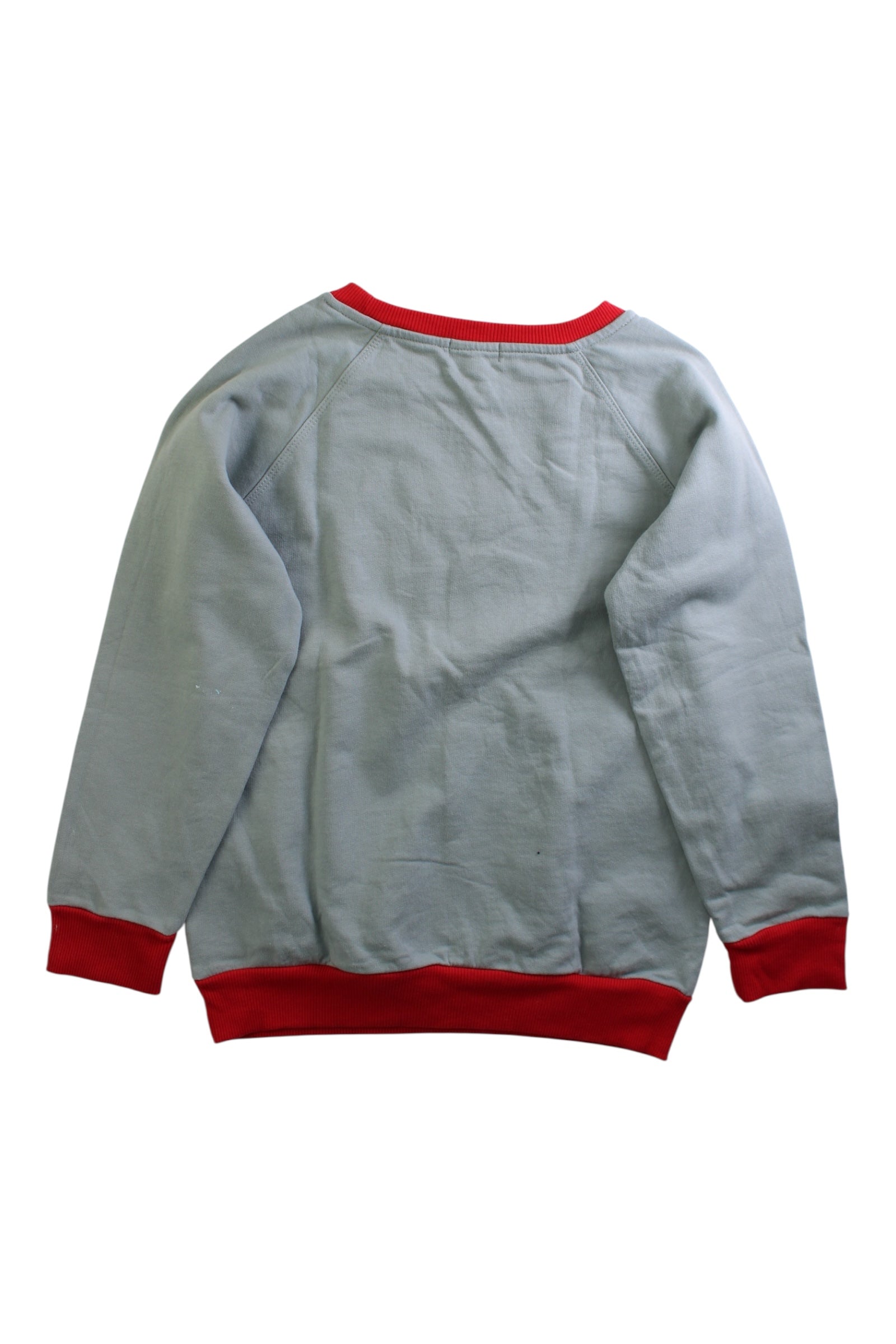 Wild & Gorgeous Lion Print Crewneck Sweatshirt 10-11Y、mySite、g9winljtr